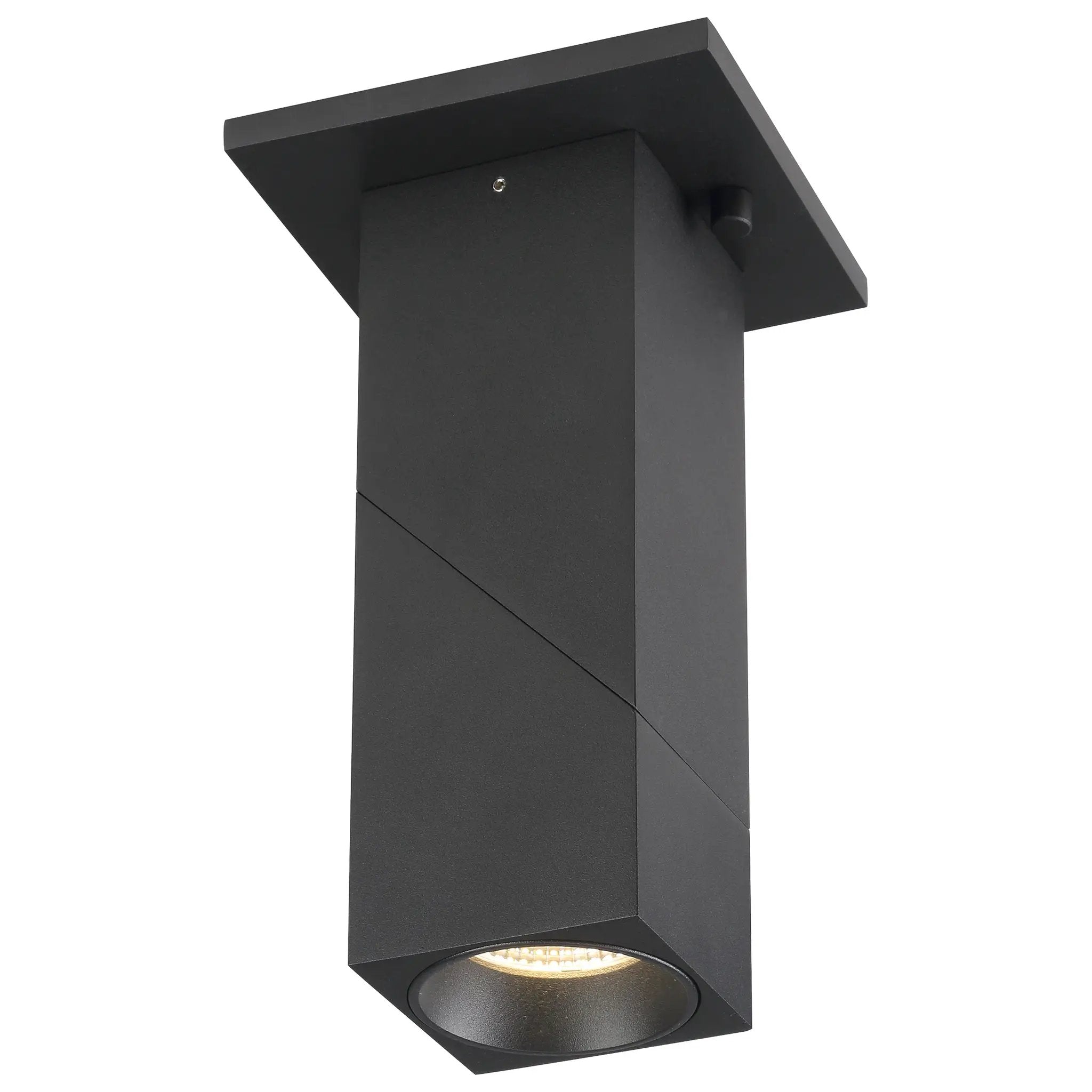 black dual voltage adjustable led spotlight