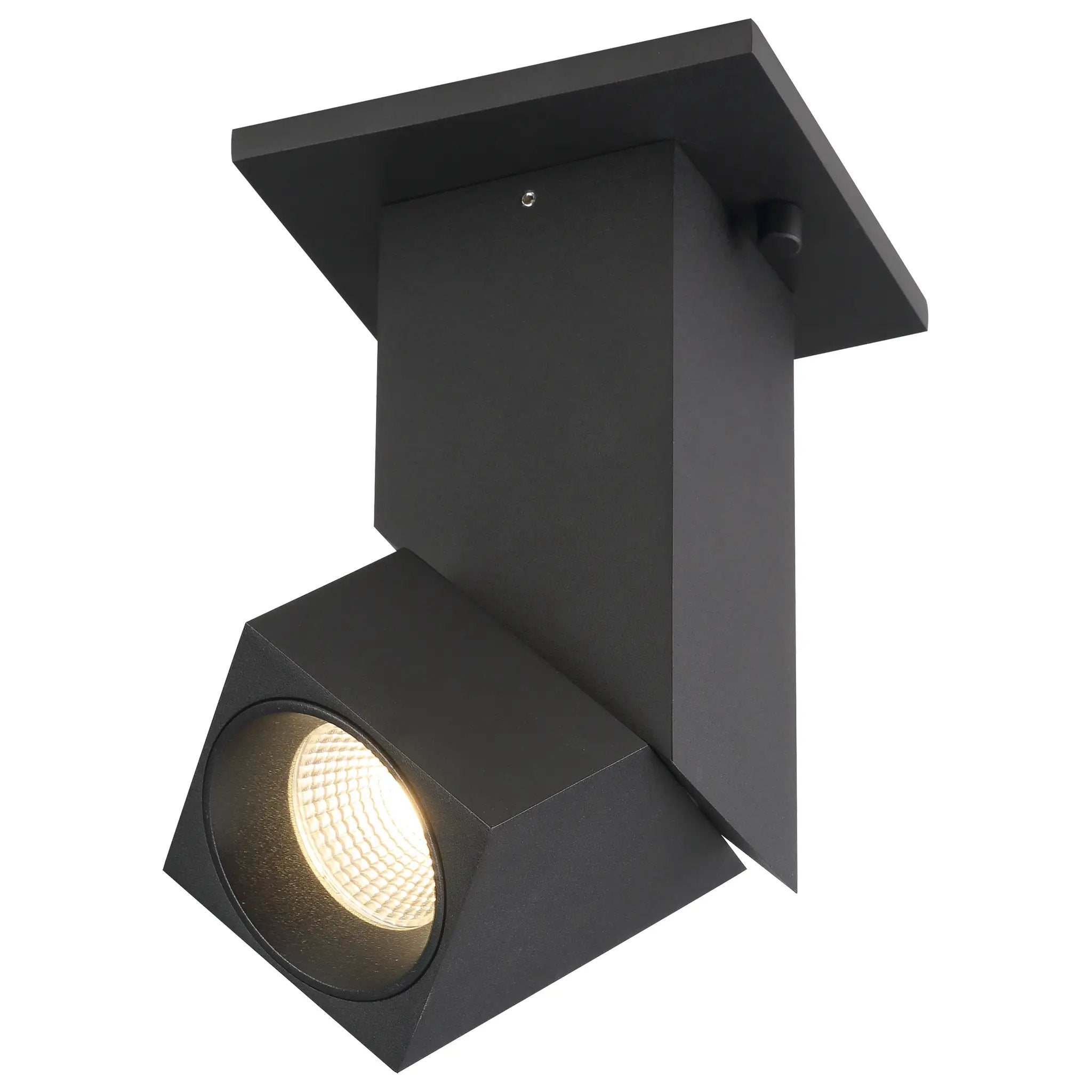 blackdual voltage adjustable led spotlight