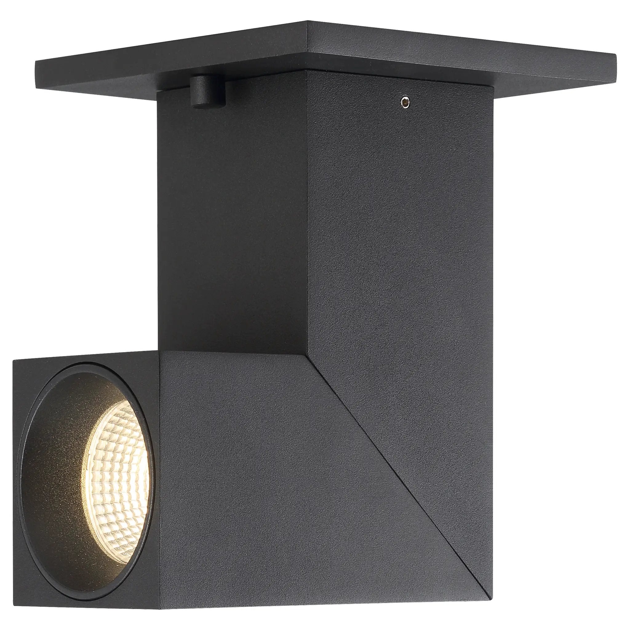 black dual voltage adjustable led spotlight