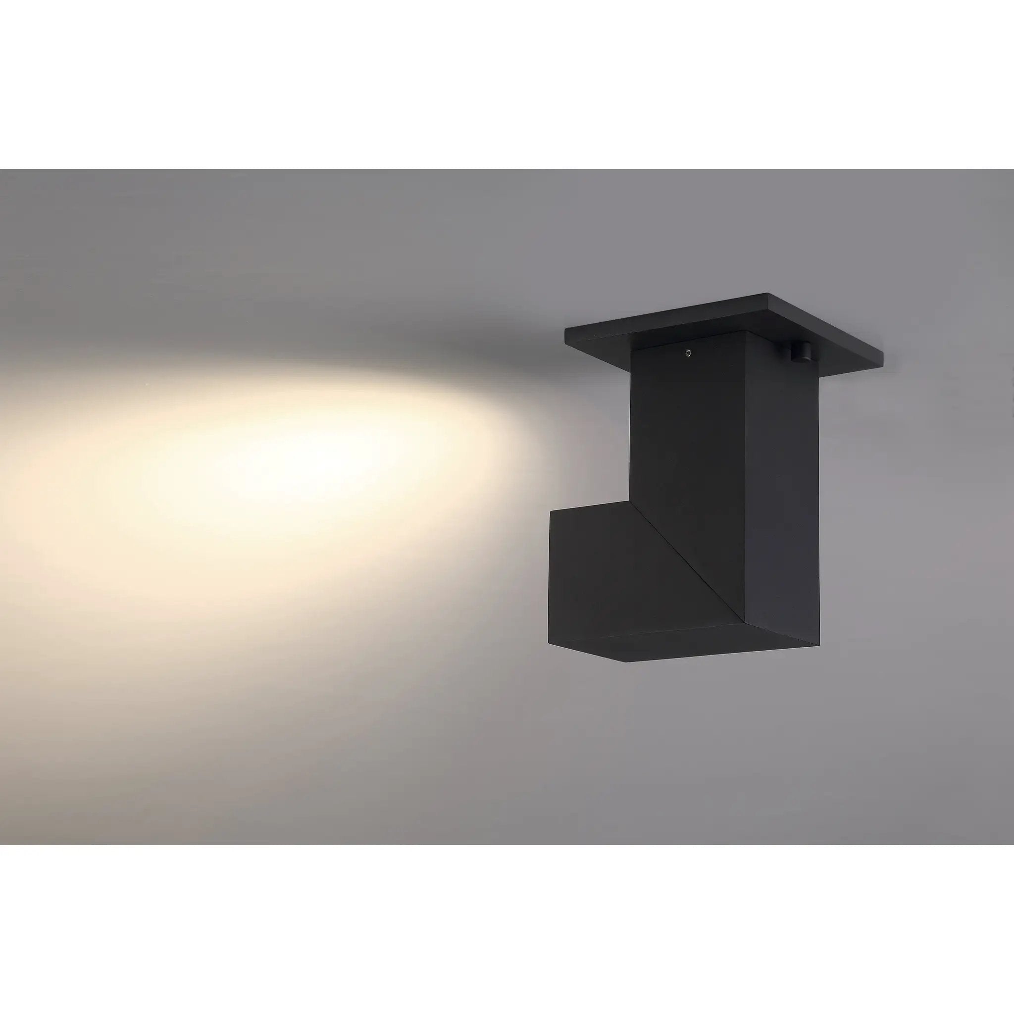 black dual voltage adjustable led spotlight