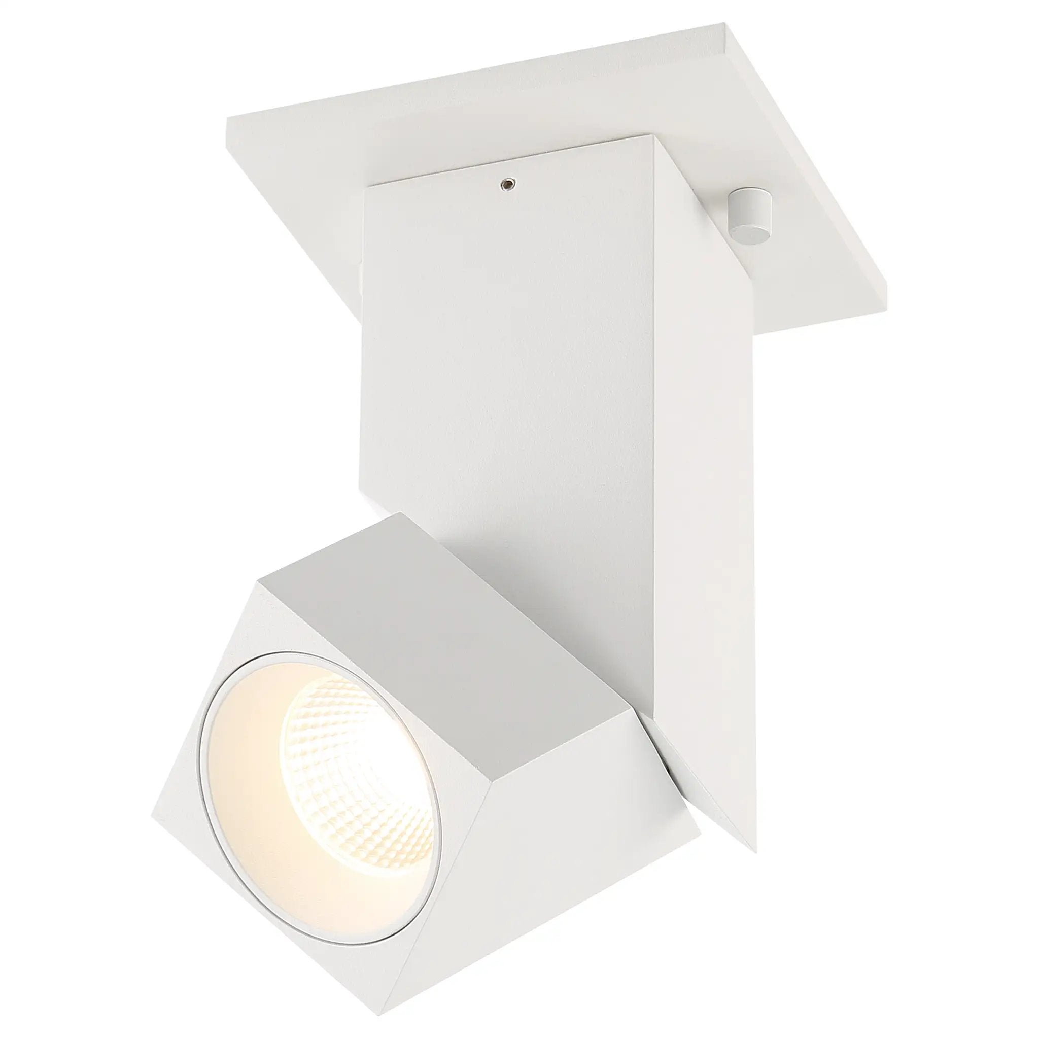 white dual voltage adjustable led spotlight