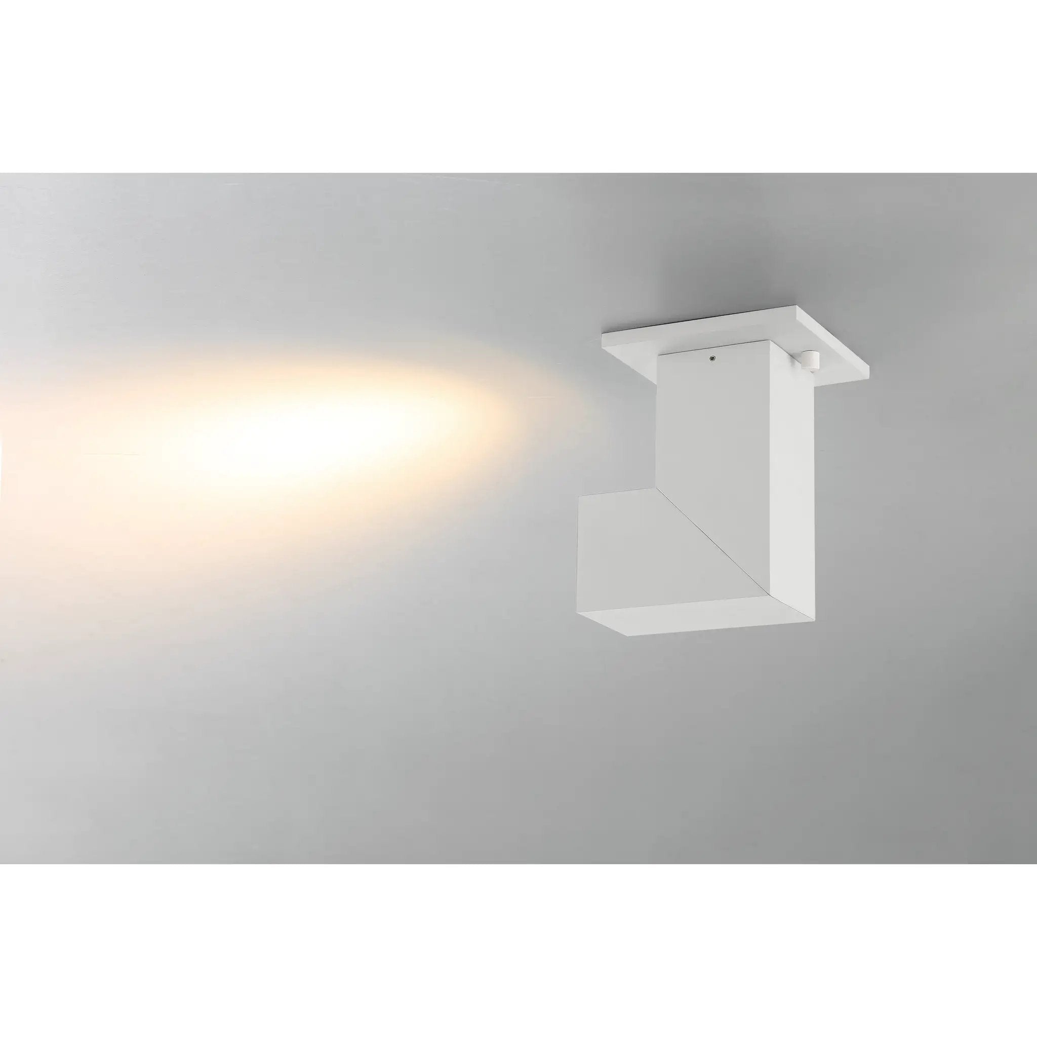 white dual voltage adjustable led spotlight