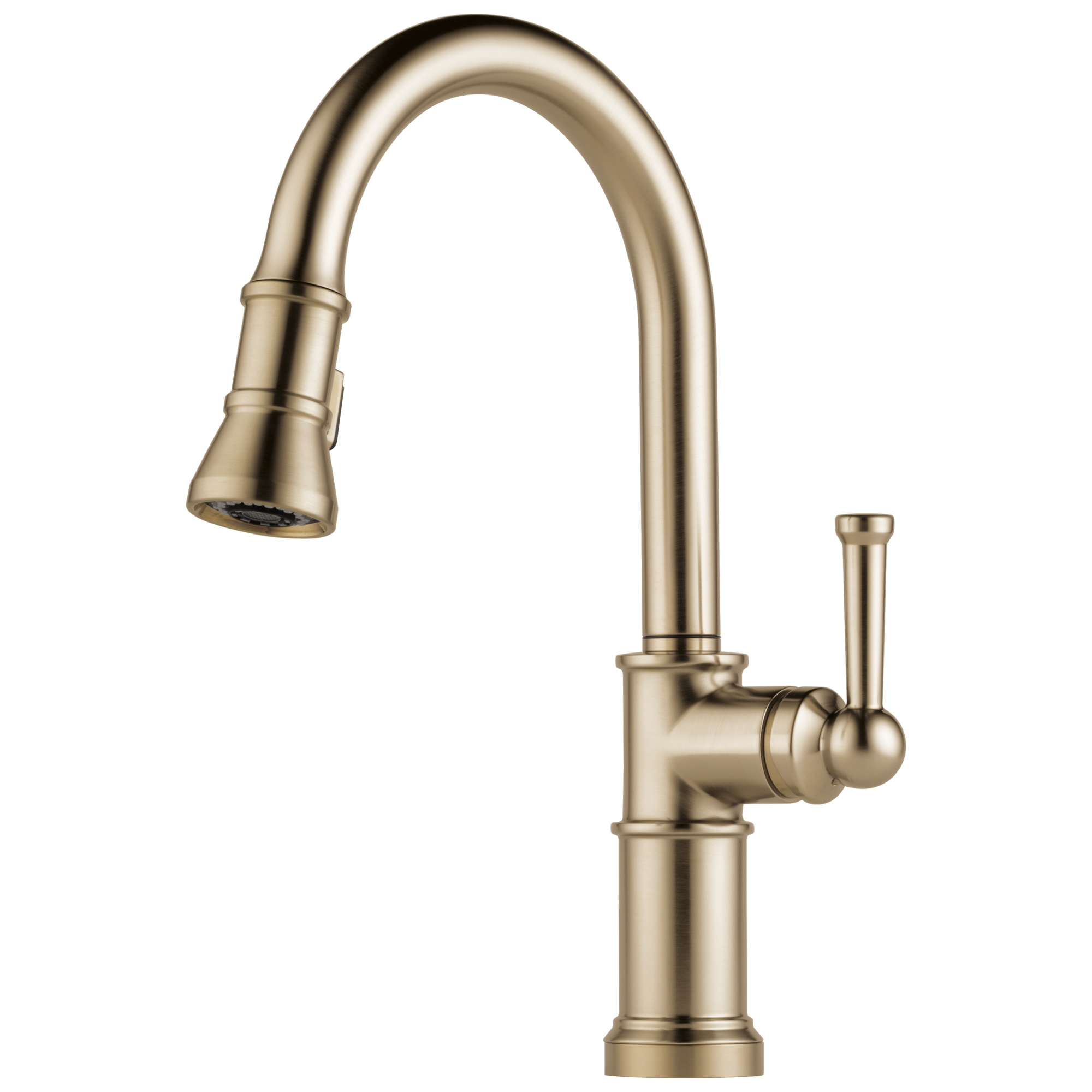 luxe gold kitchen faucet