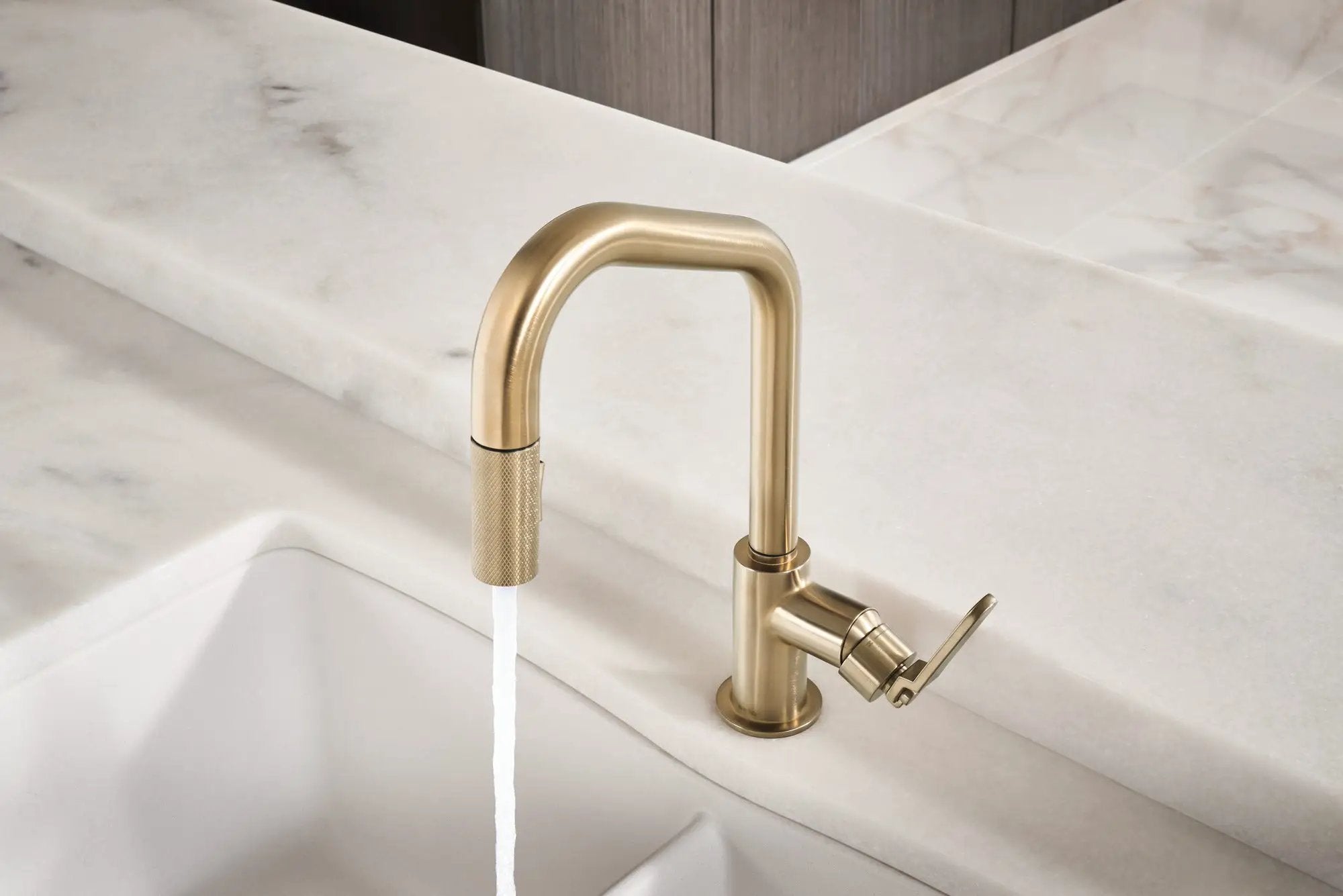 luxe gold pull-down faucet