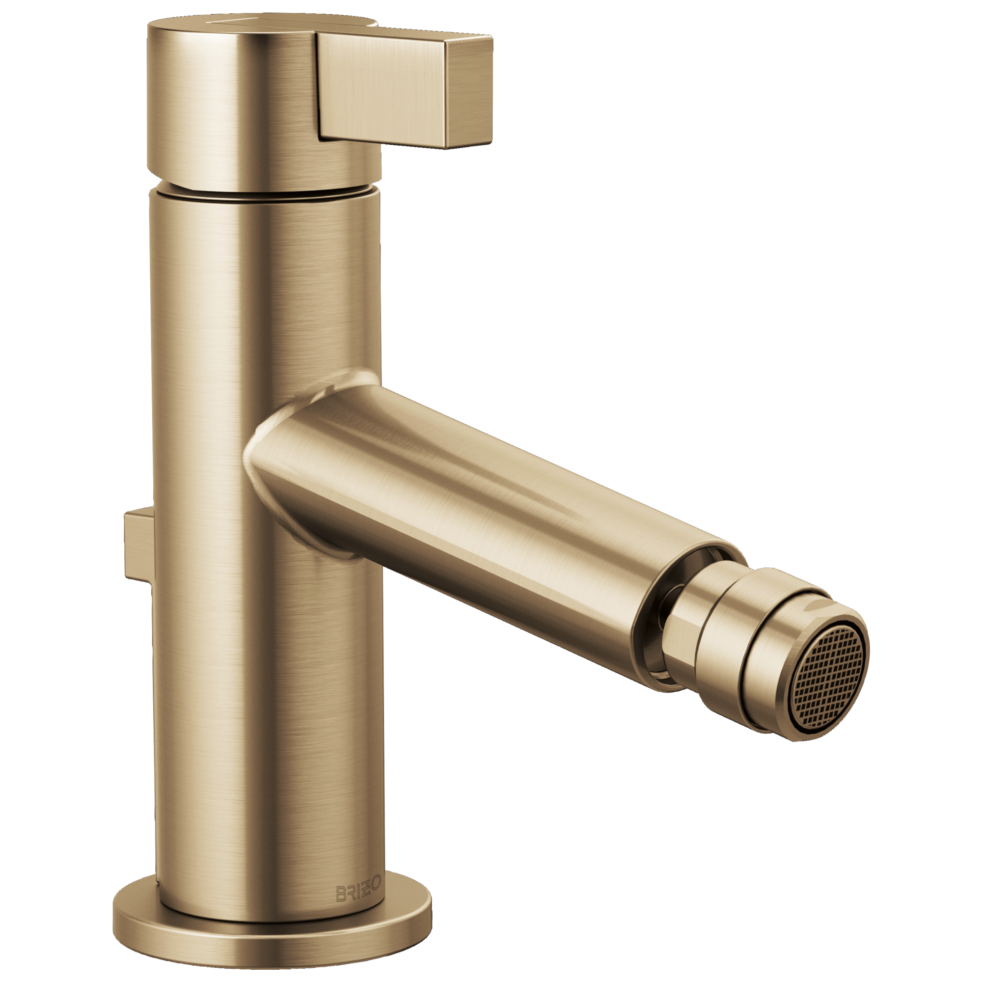 luxe gold bidet faucet