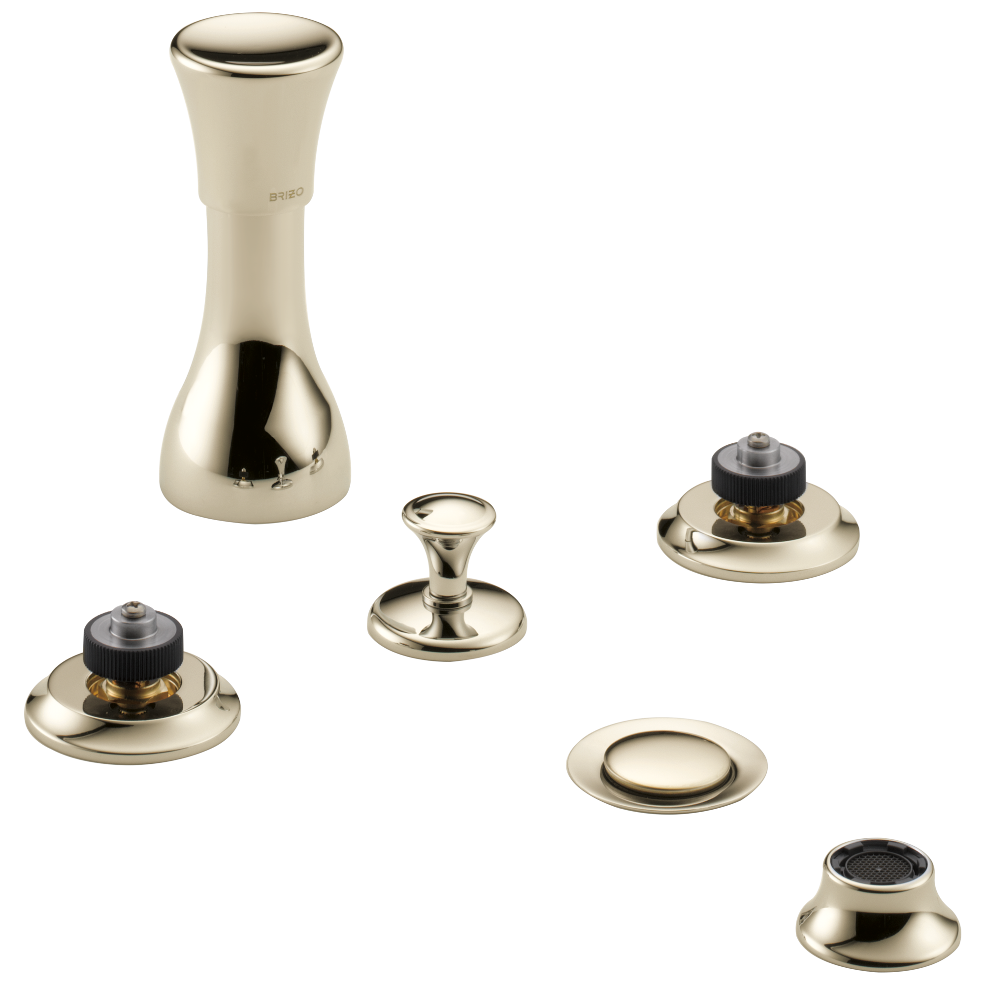 polished nickel bidet