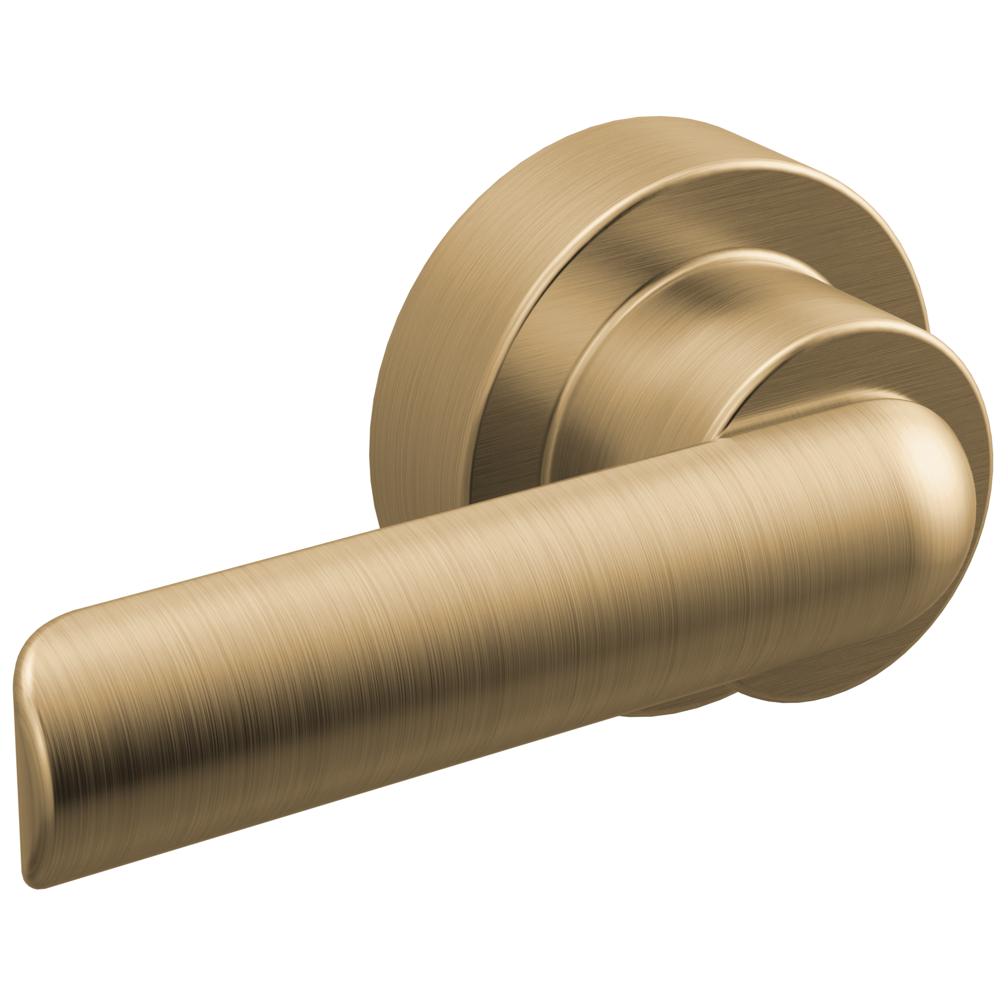 Brizo Roccesco Universal Flush Lever by Brizo