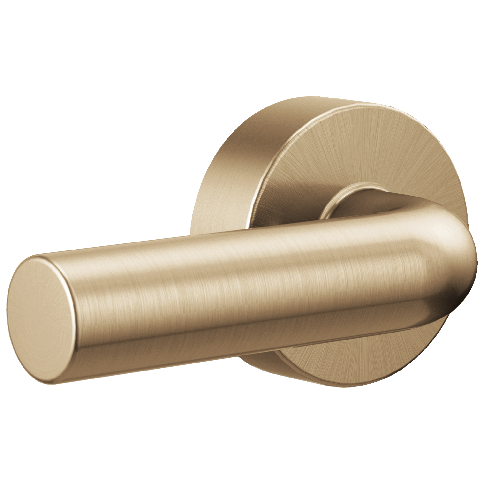 Brizo Litze Universal Flush Lever by Brizo