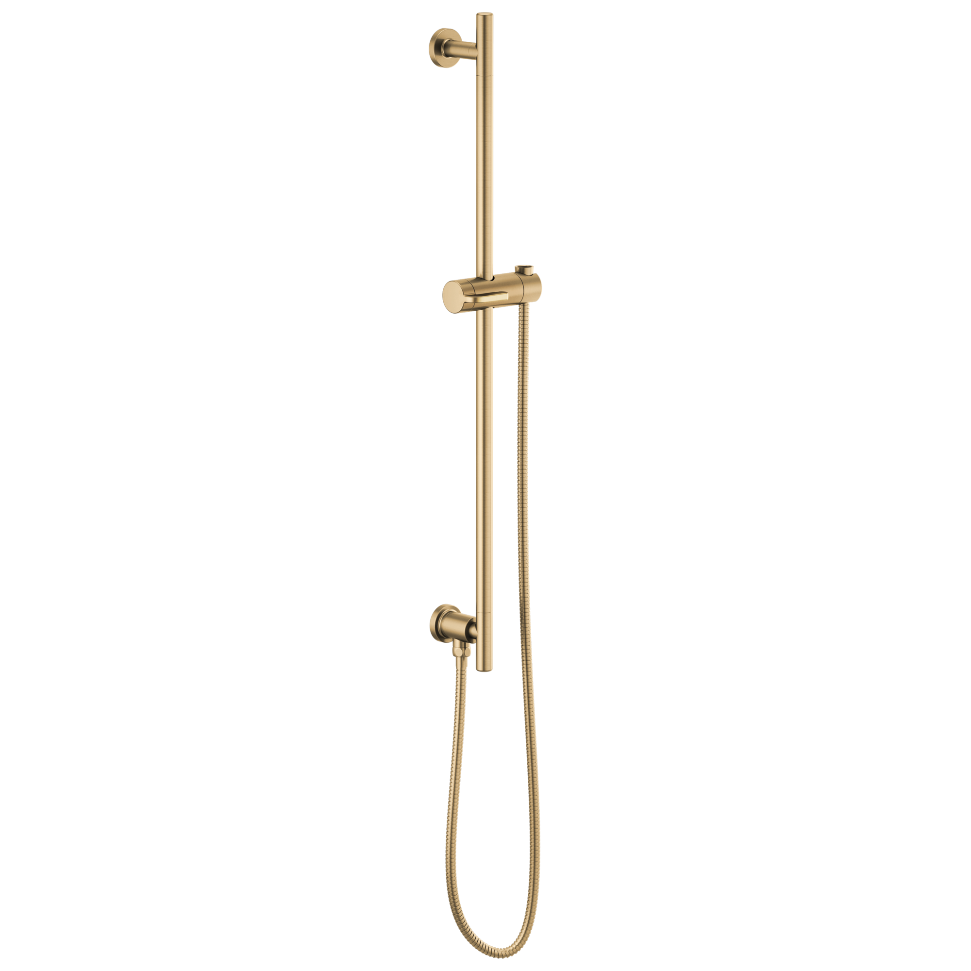 Brizo Universal Showering Linear Round Slide Bar With Hose
