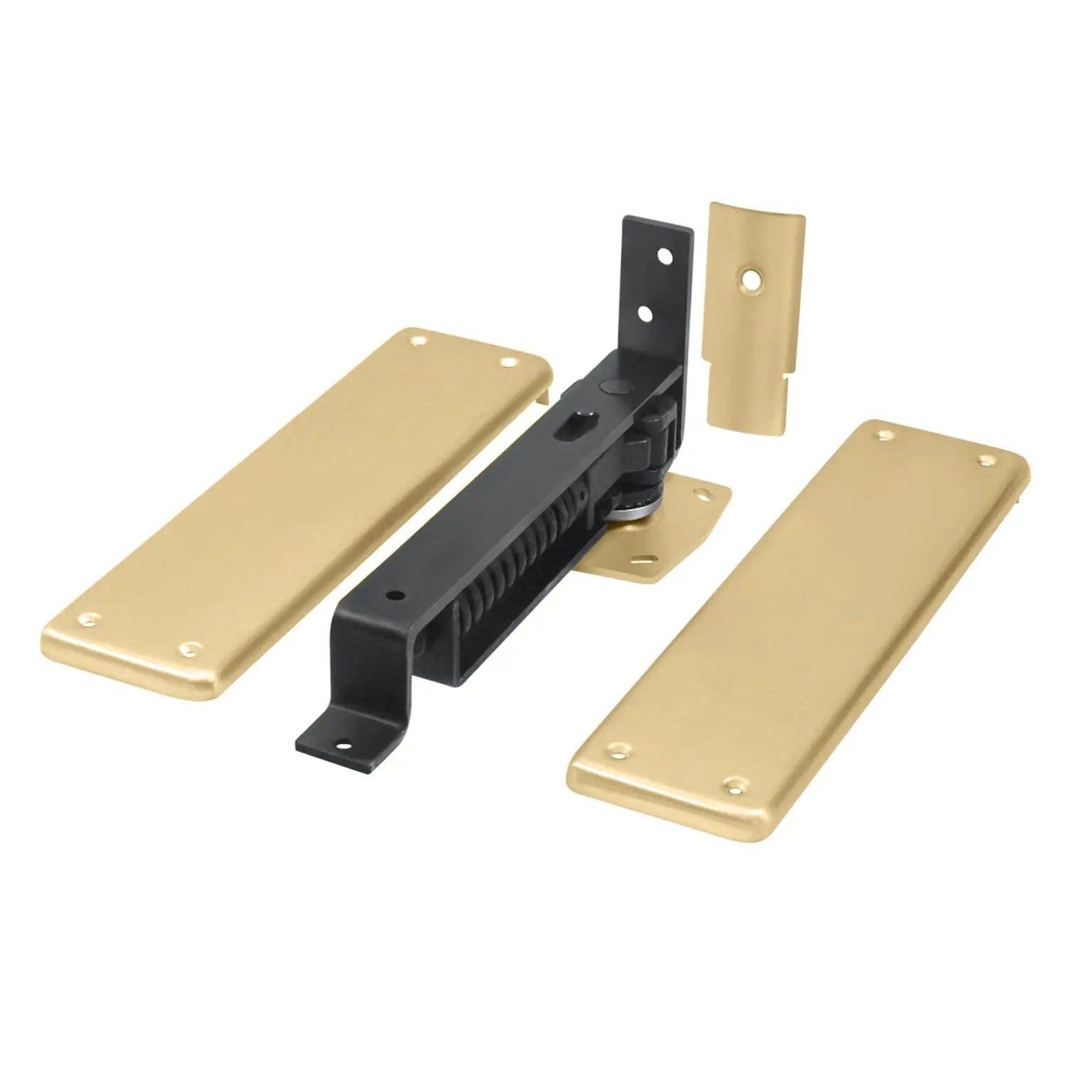 Deltana Double Action Spring Hinge with Solid Brass Cover Plates by Deltana