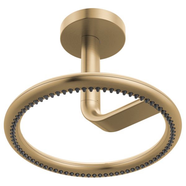 luxe gold shower head