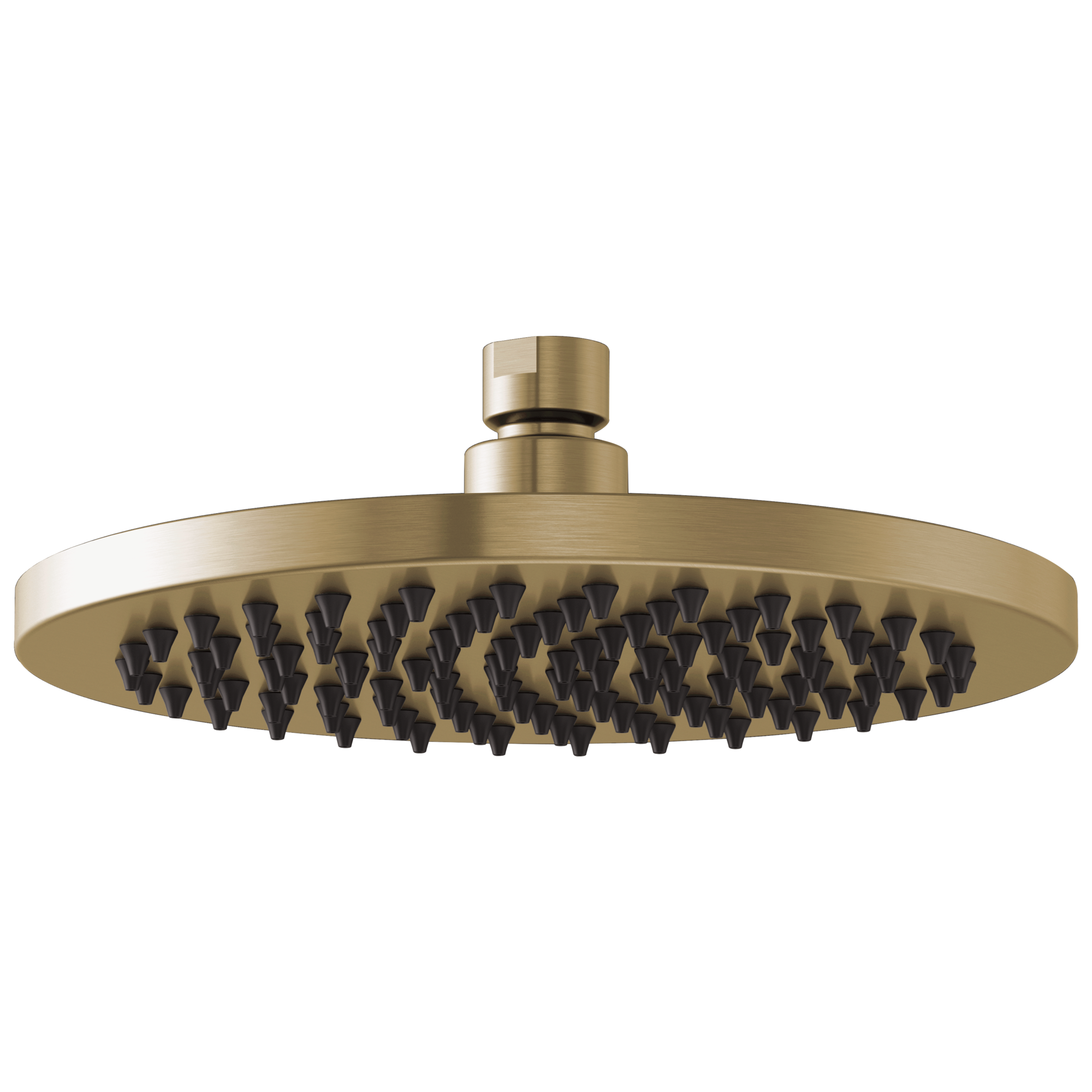 Brizo Universal Showering 8" Linear Round Single-Function Raincan Shower Head - 2.5 GPM by Brizo