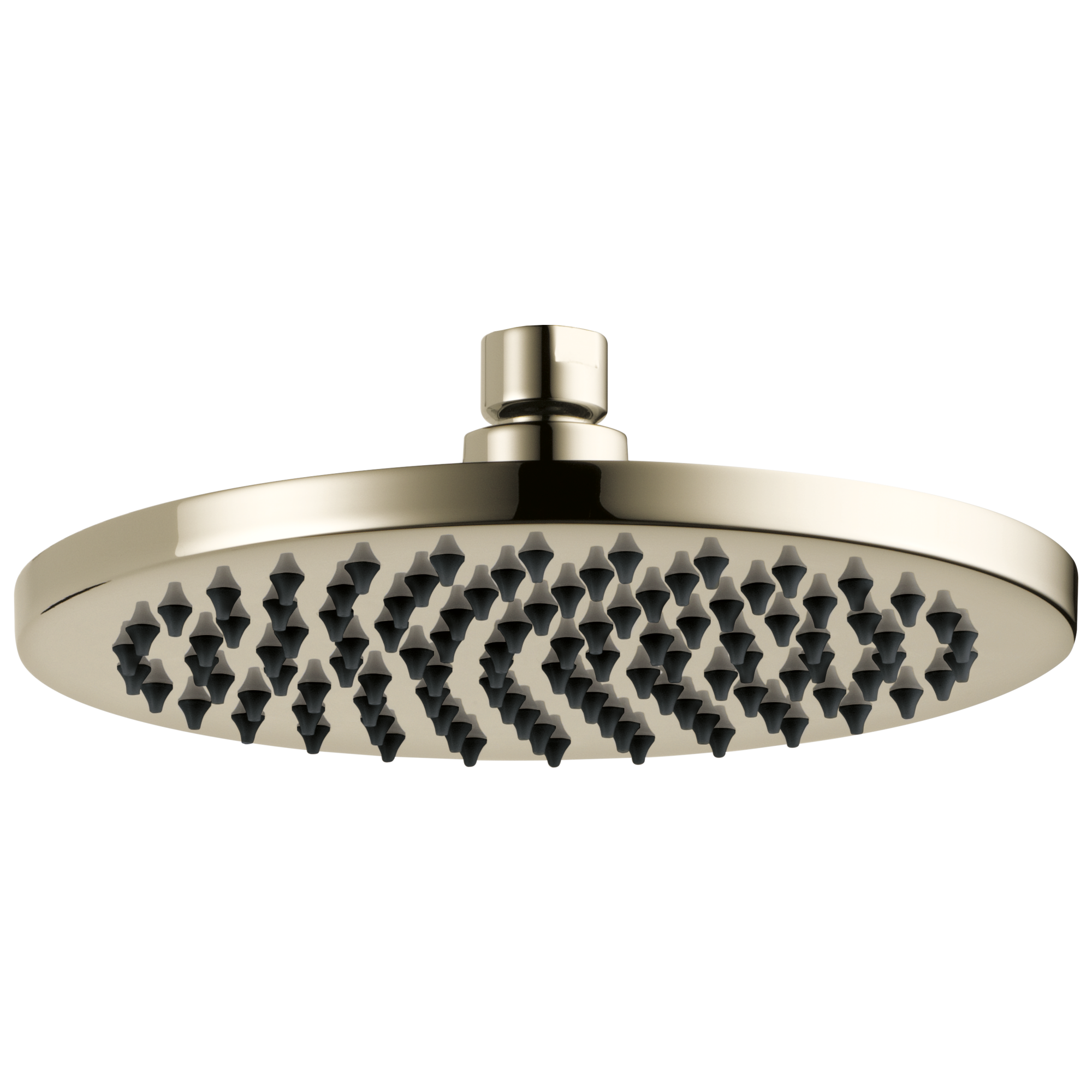 Brizo Universal Showering 8" Linear Round Single-Function Raincan Shower Head - 2.5 GPM by Brizo