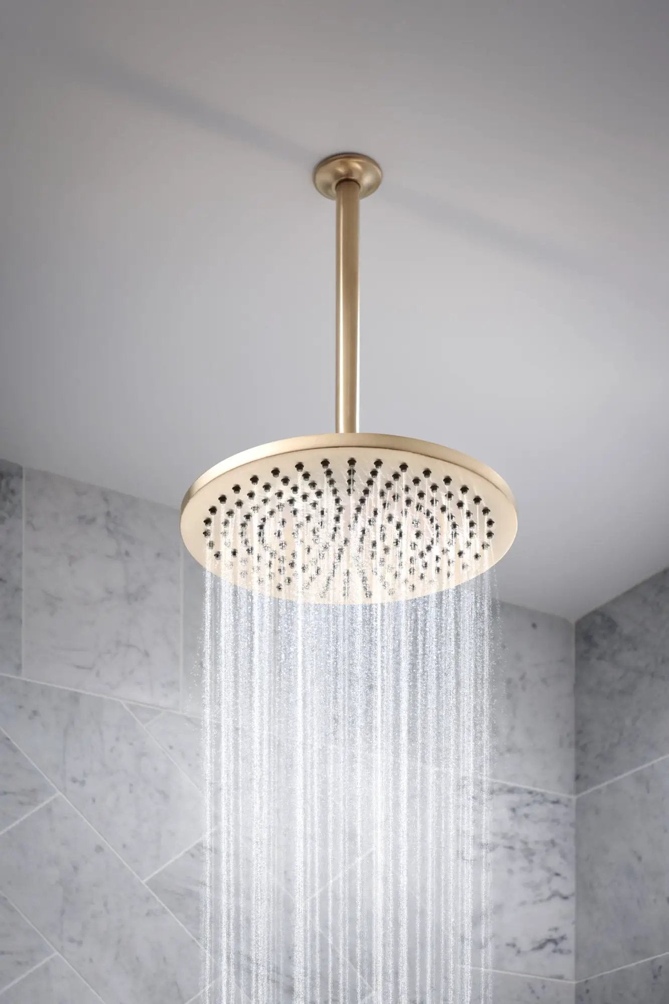 luxe gold shower head