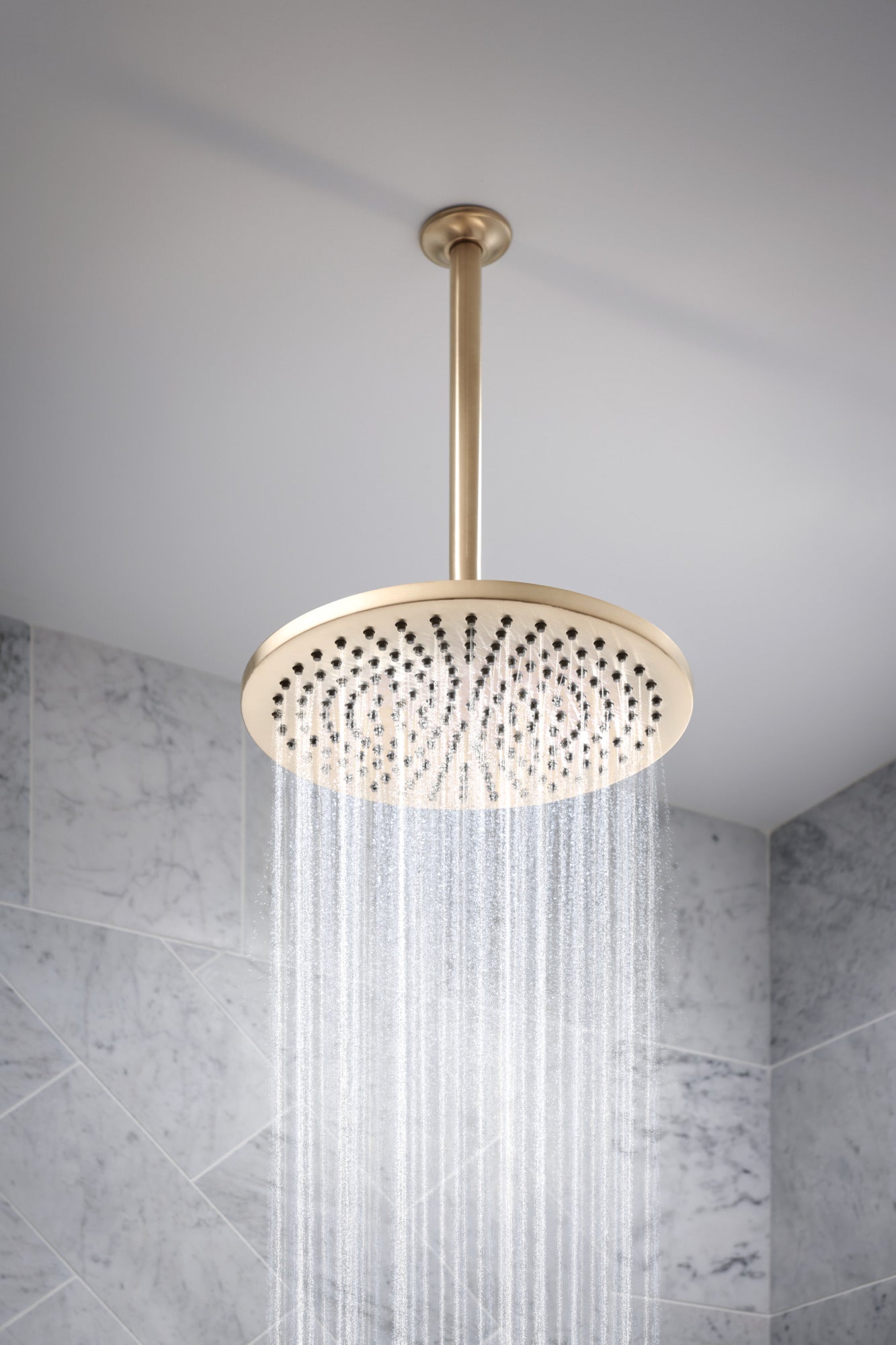 luxe gold shower arm and flange