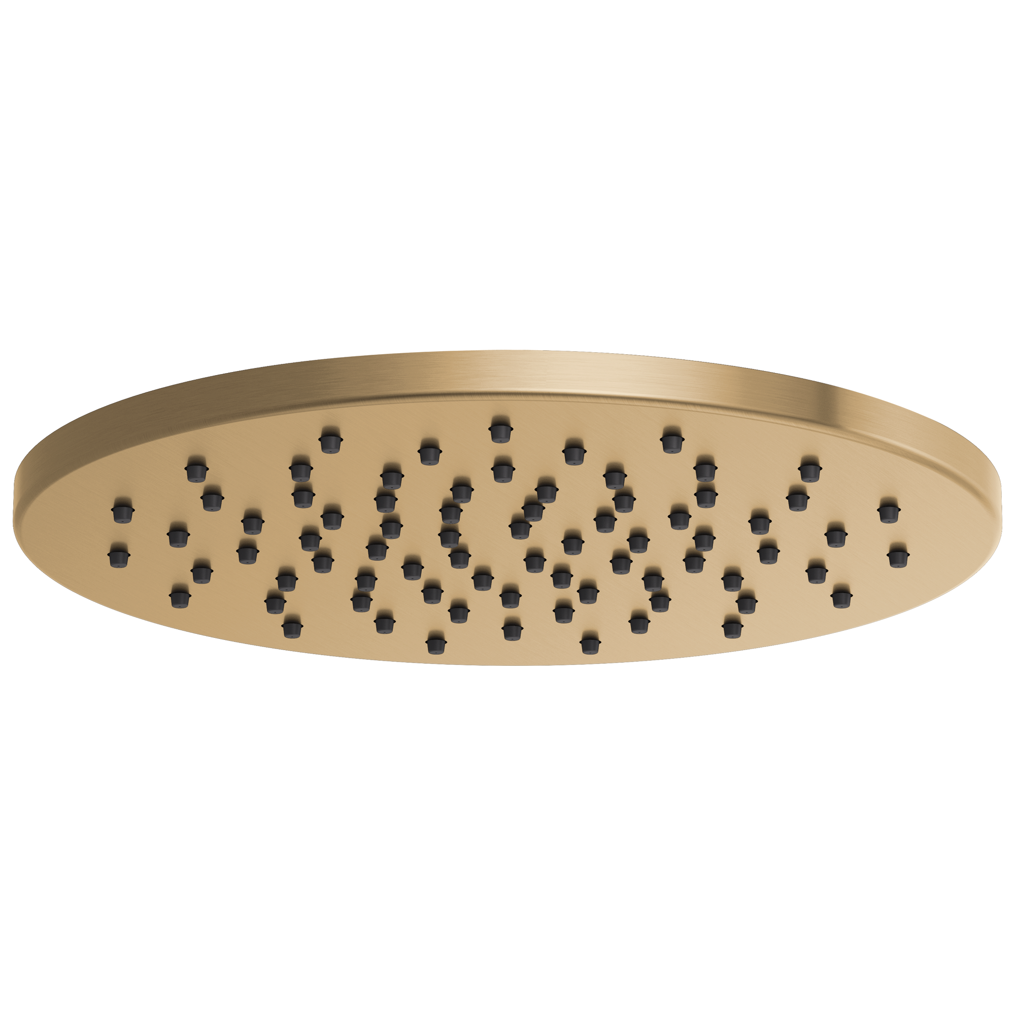 Brizo Universal Showering 12" Linear Round Single-Function Raincan Shower Head - 1.75 GPM by Brizo