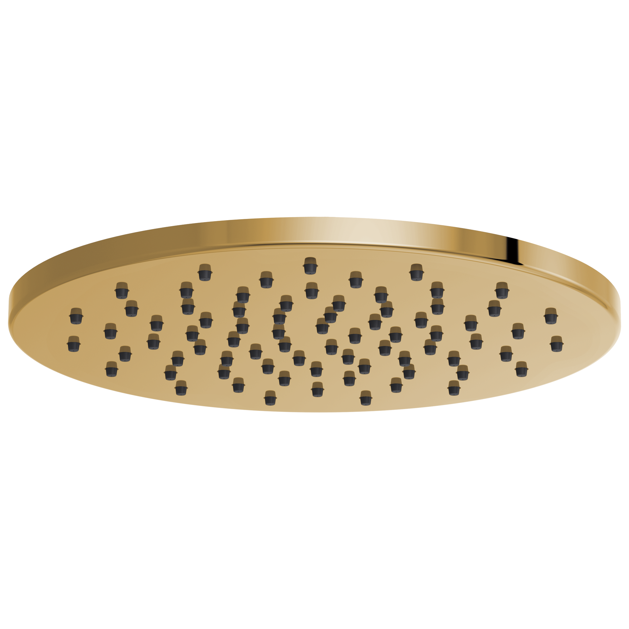 Brizo Universal Showering 12" Linear Round Single-Function Raincan Shower Head - 1.75 GPM by Brizo
