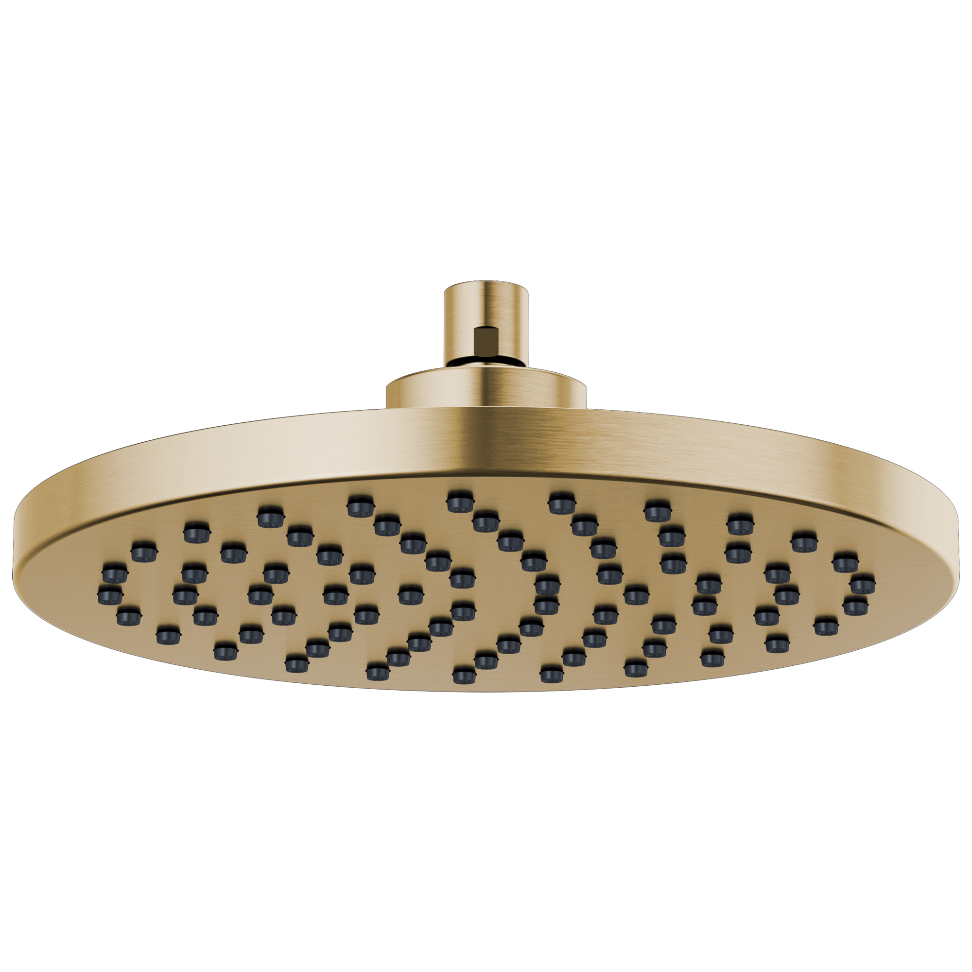 luxe gold shower head