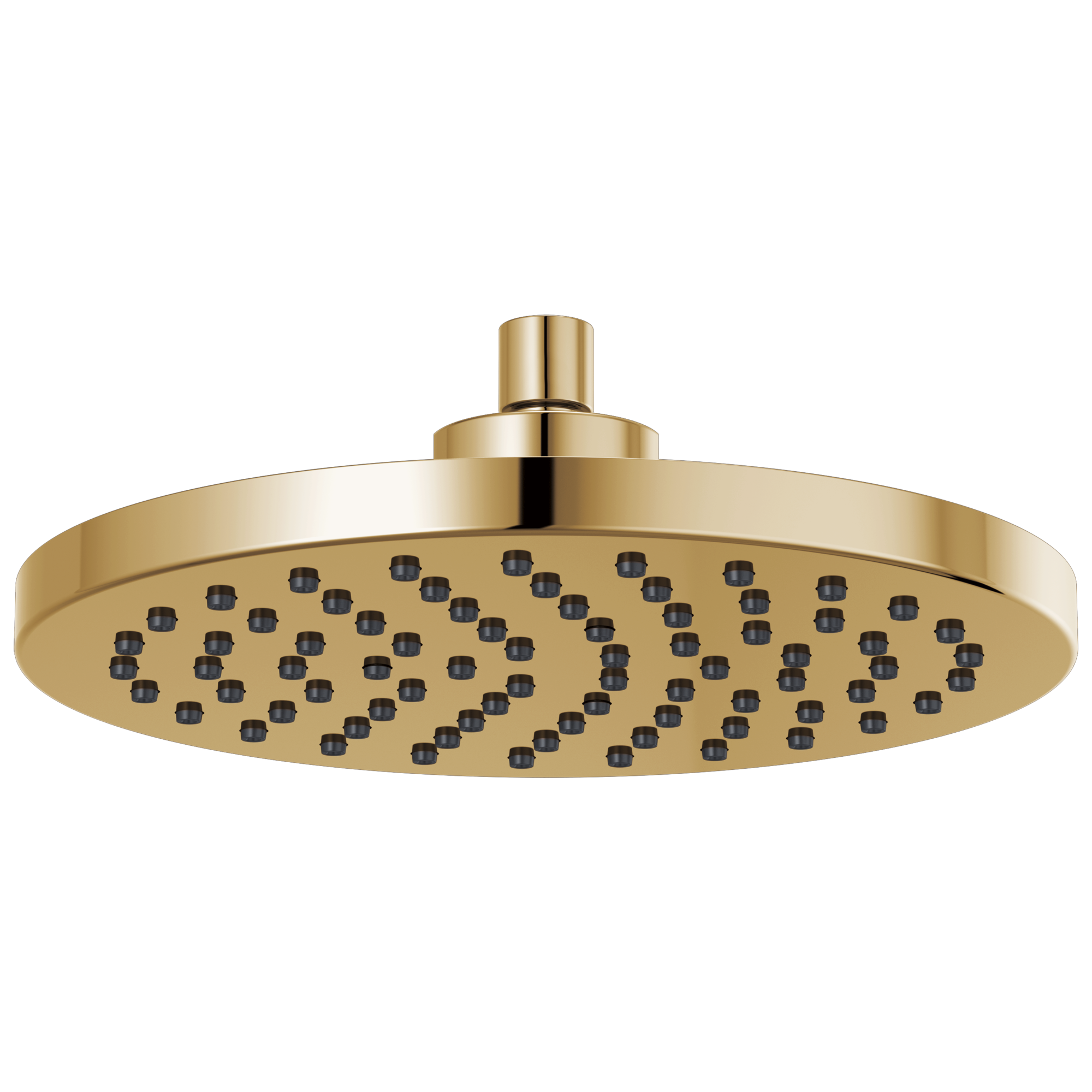 polished gold shower head