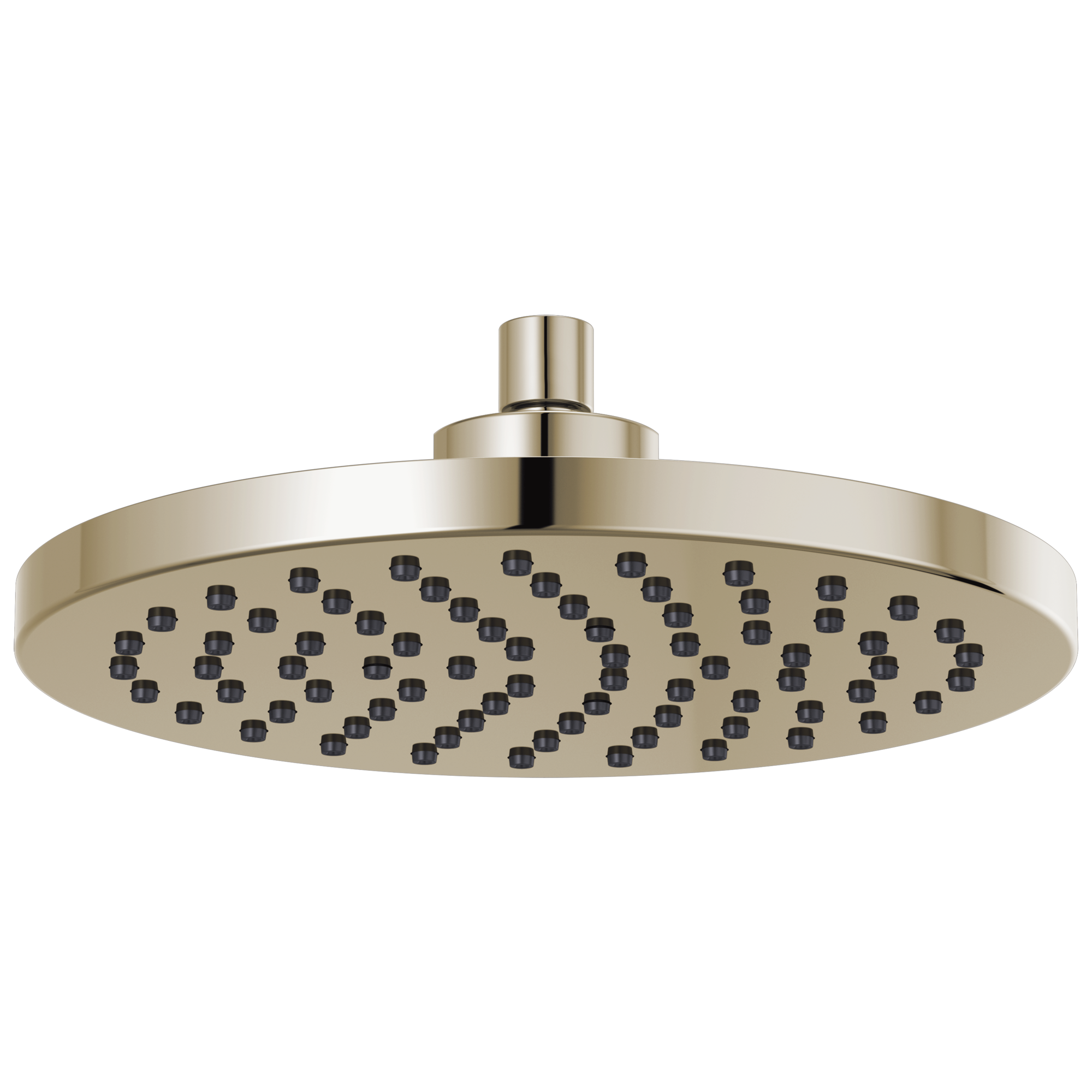 polished nickel shower head