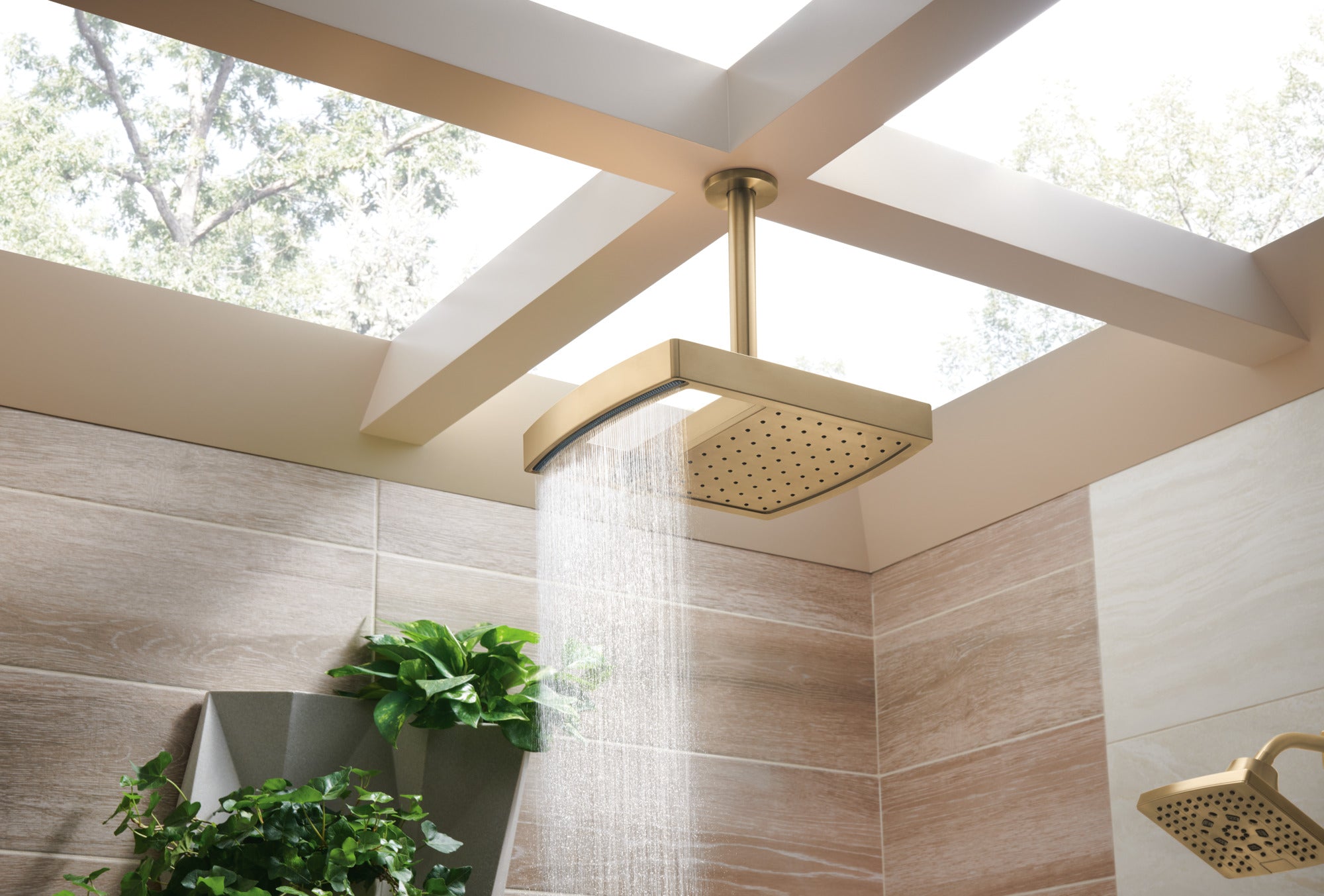 luxe gold shower head