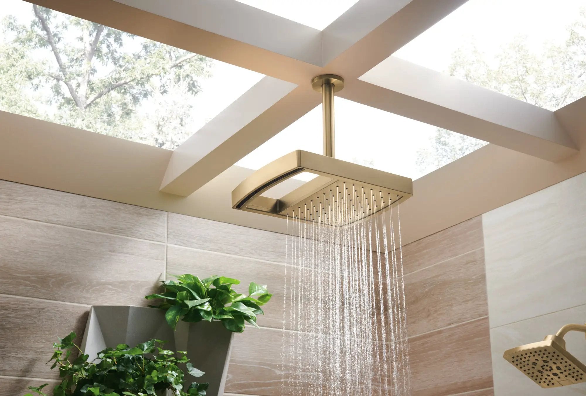 luxe gold shower head