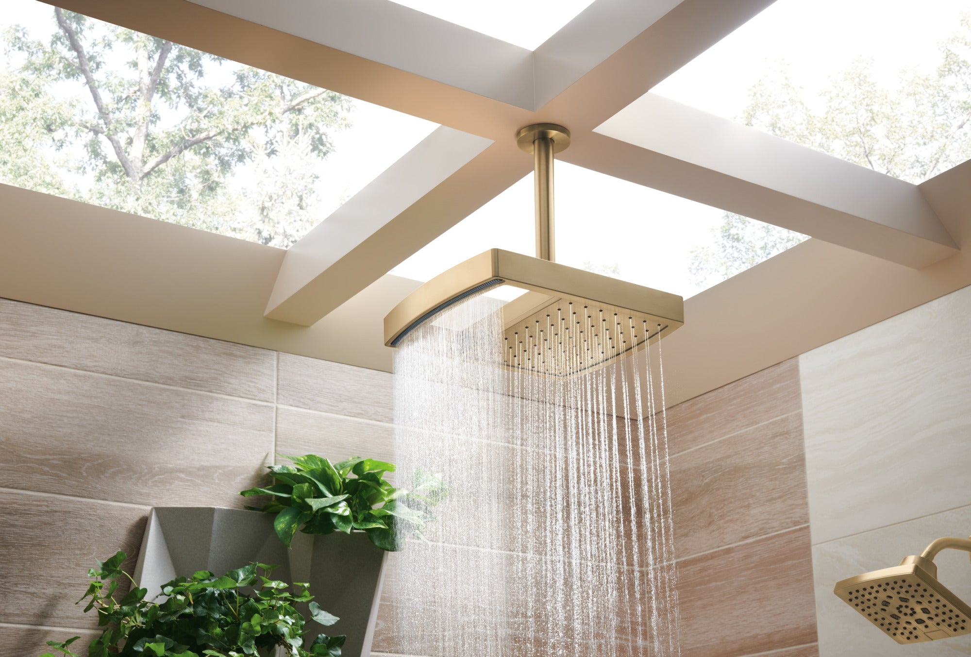 luxe gold shower head
