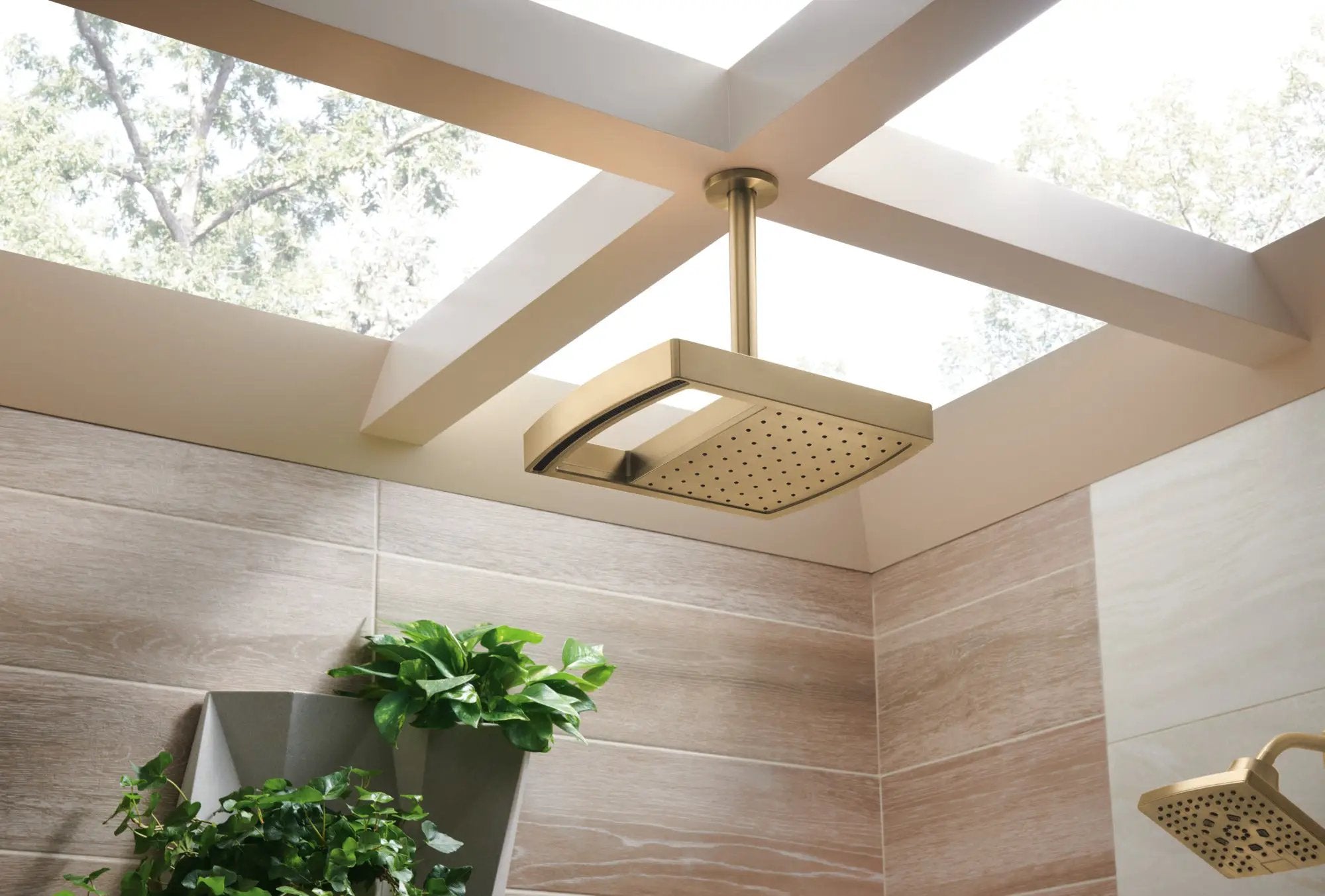 luxe gold shower head