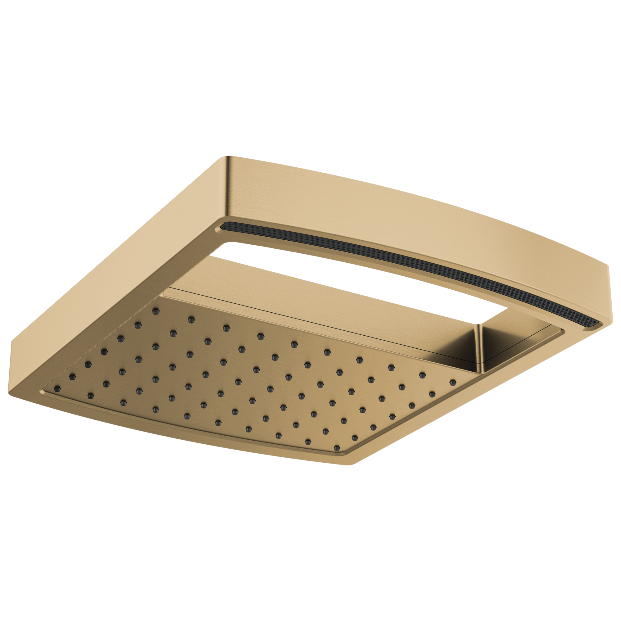 luxe gold shower head