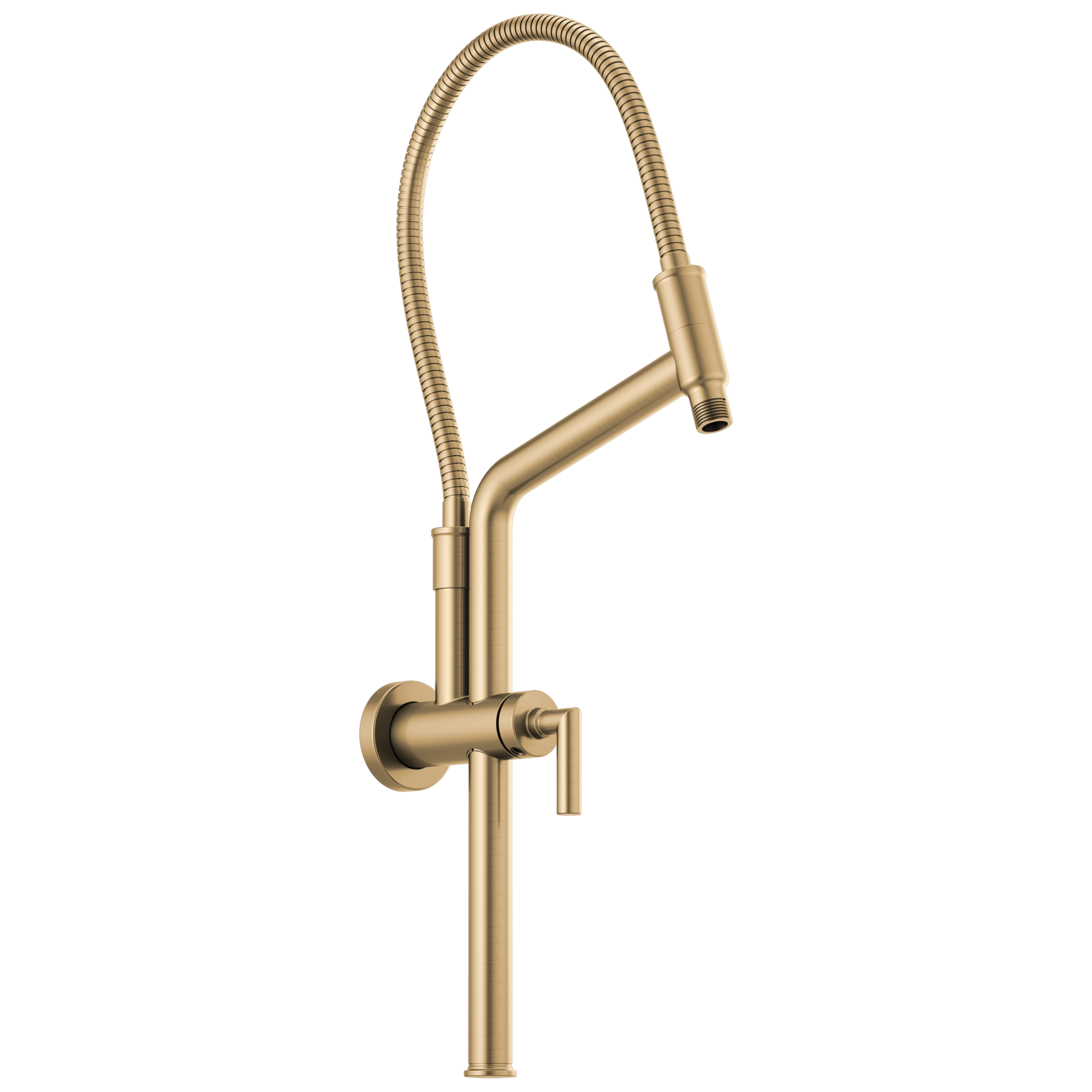 Brizo Universal Showering 10 7/16" Linear Round Slide Bar Shower Arm And Flange by Brizo