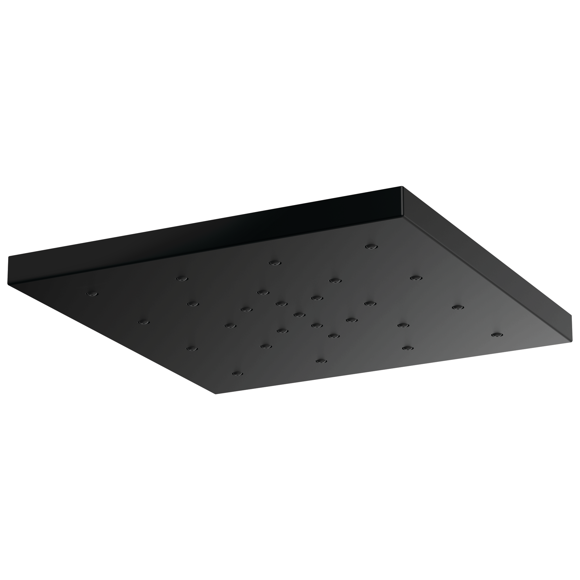 matte black shower head