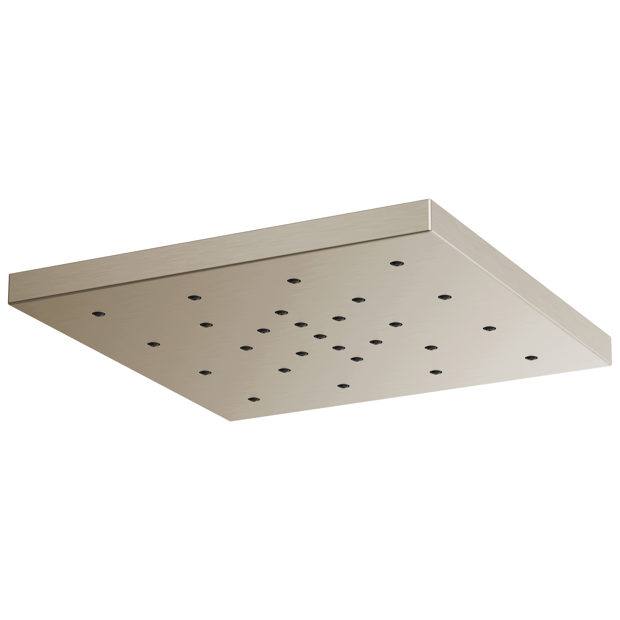 brushed nickel shower head