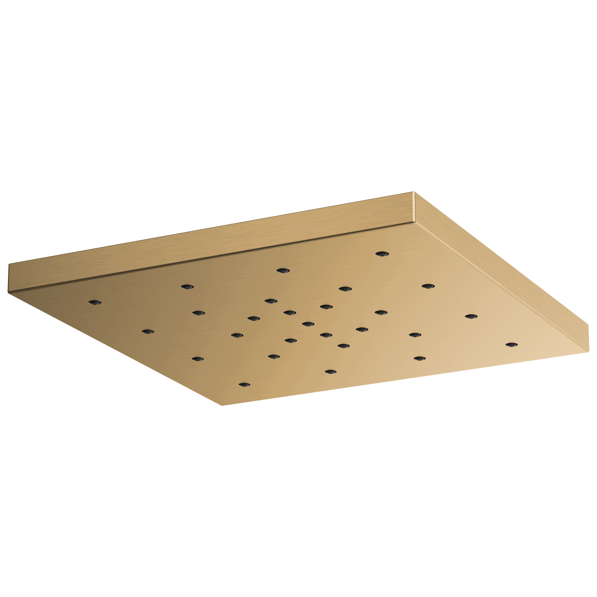 luxe gold shower head