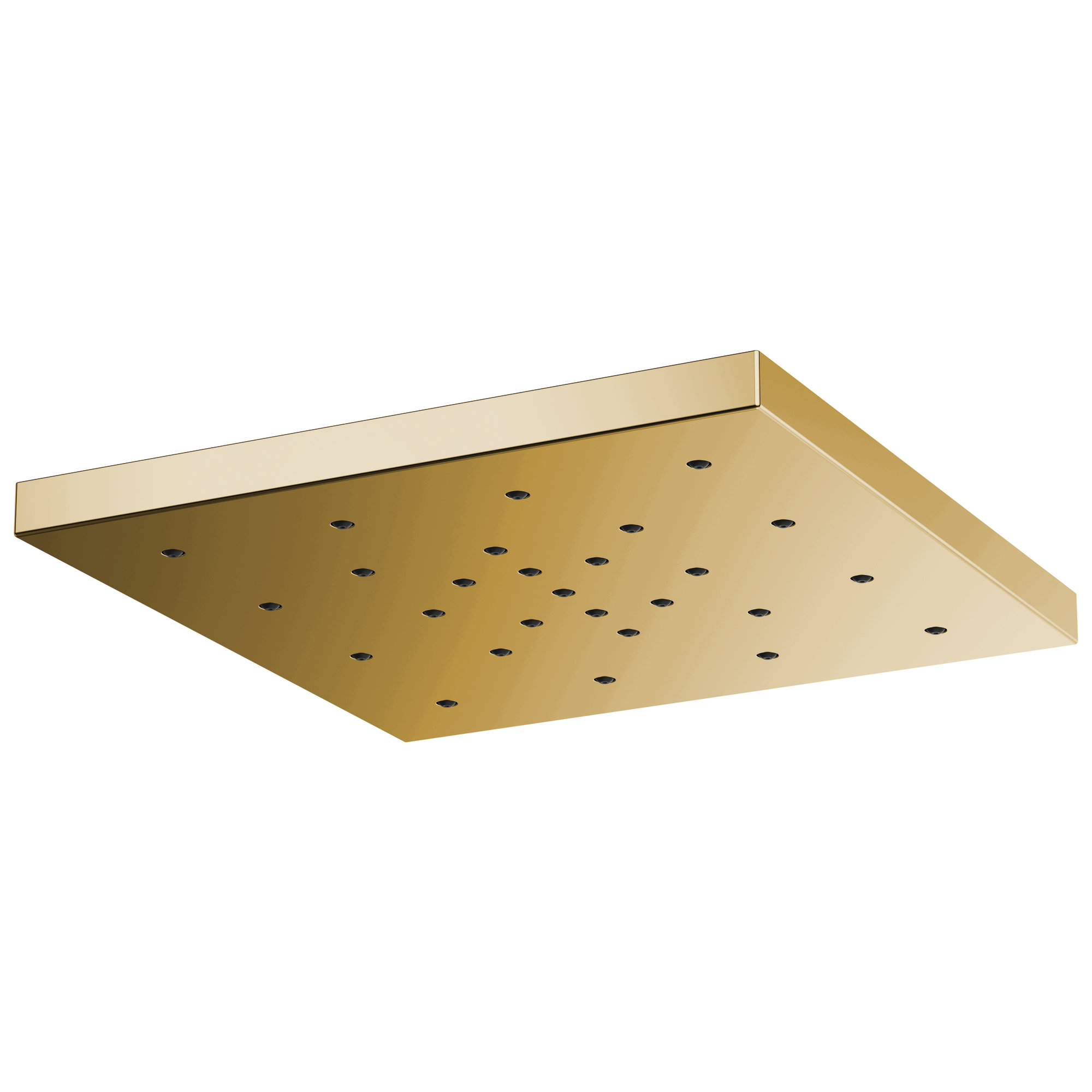 polished gold shower head