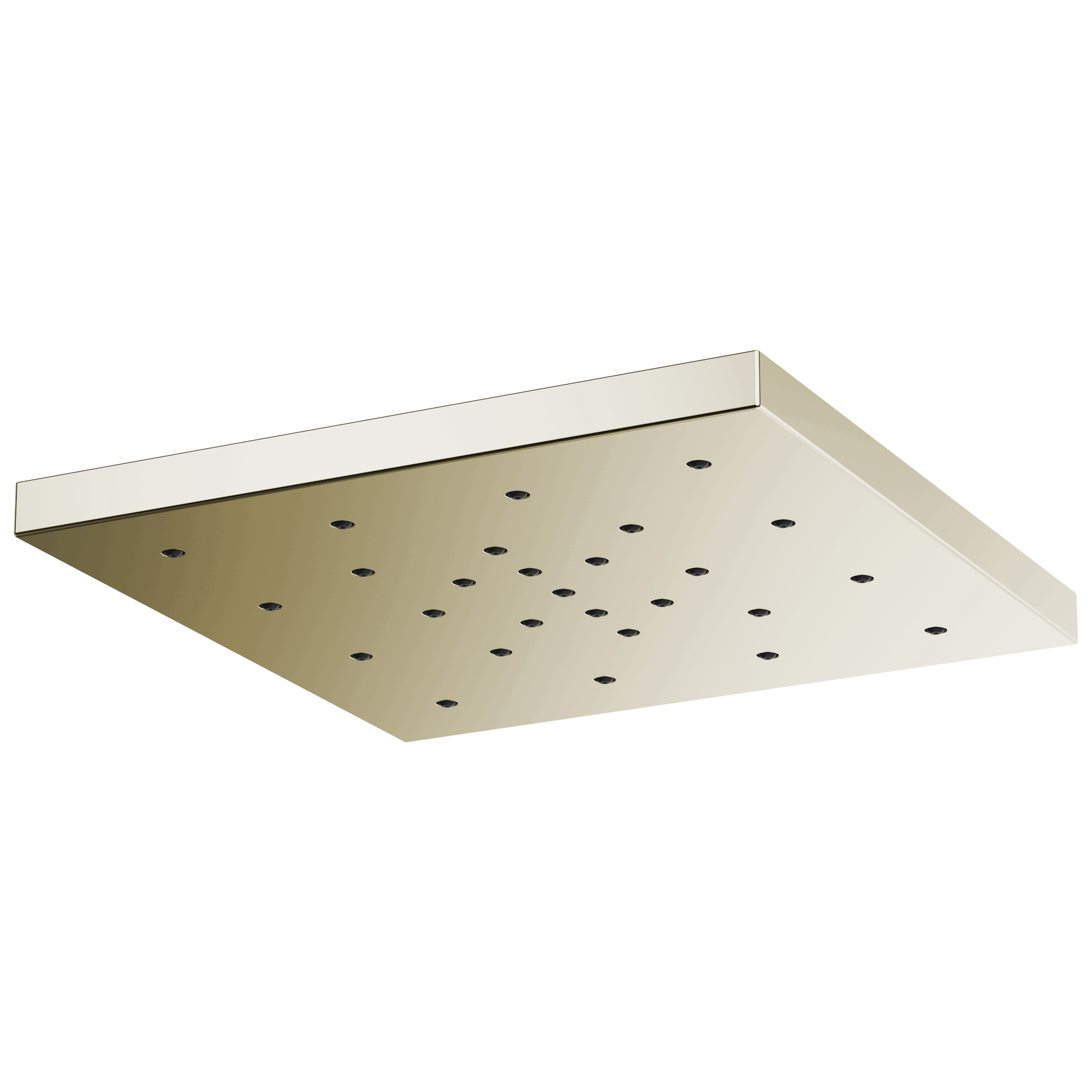 polished nickel shower head