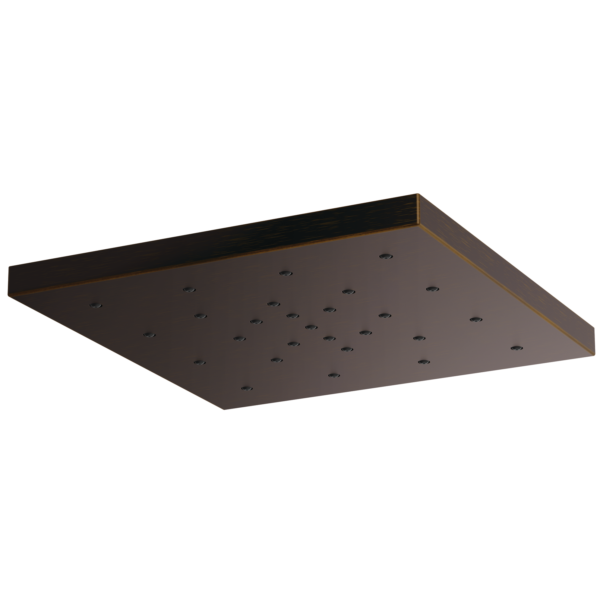 venetian bronze shower head