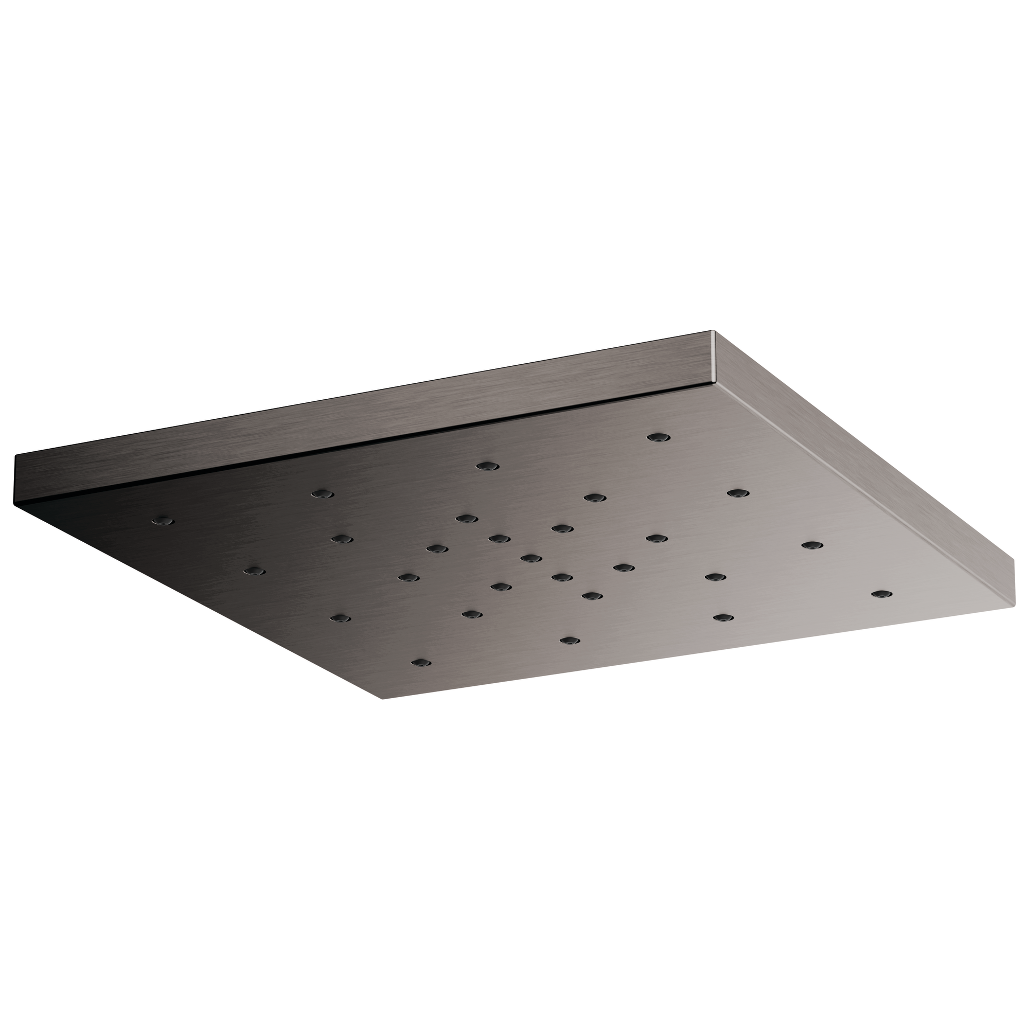 luxe steel shower head