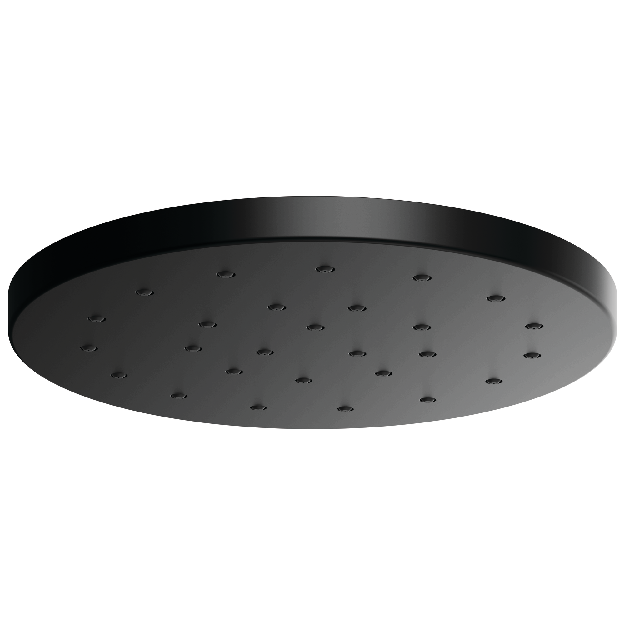 matte black shower head