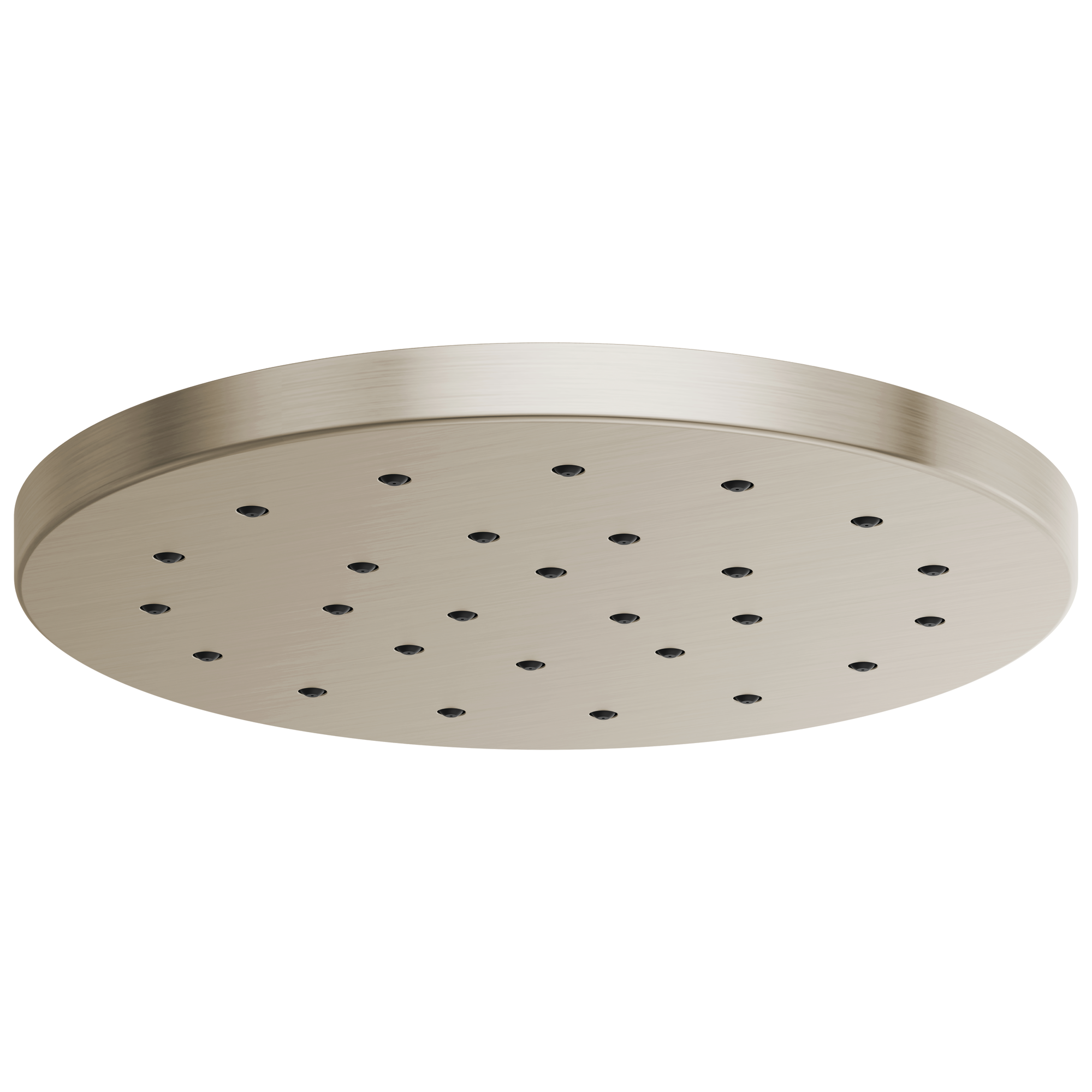 brushed nickel shower head