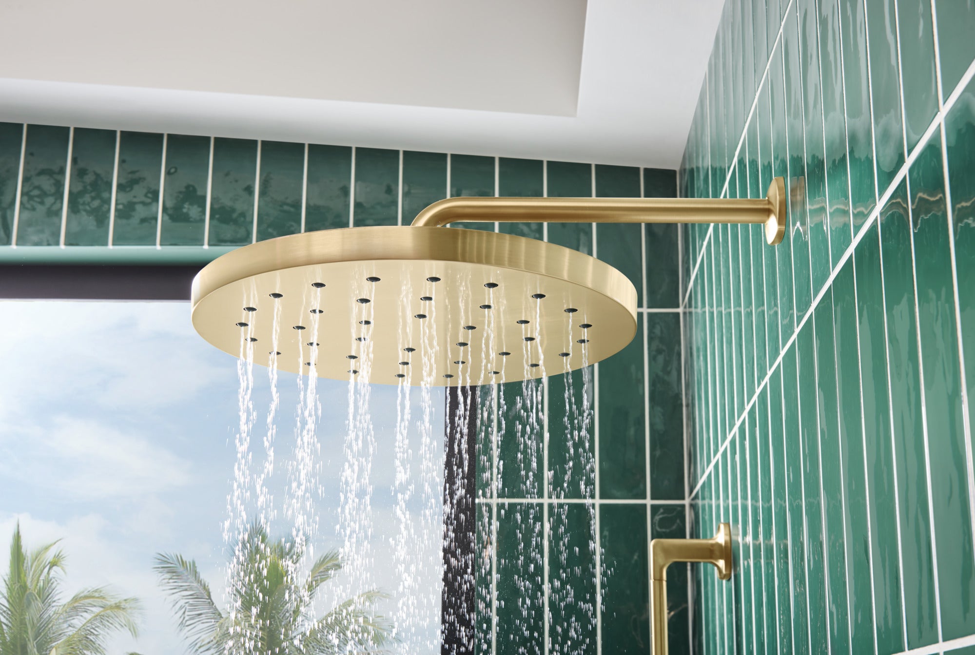 luxe gold shower arm and flange