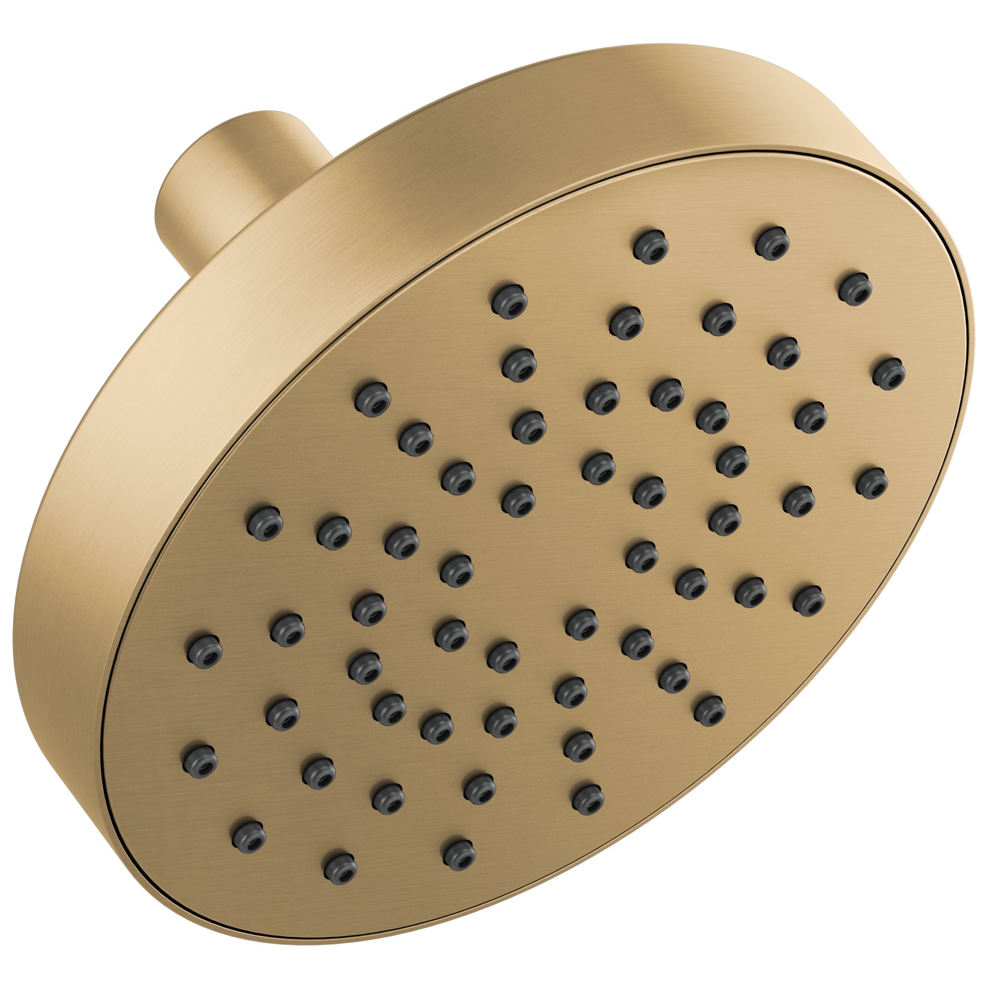 luxe gold shower head