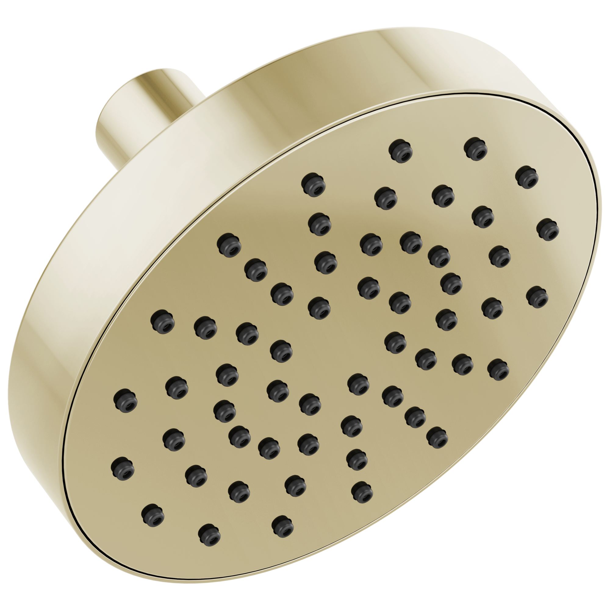 polished nickel shower head