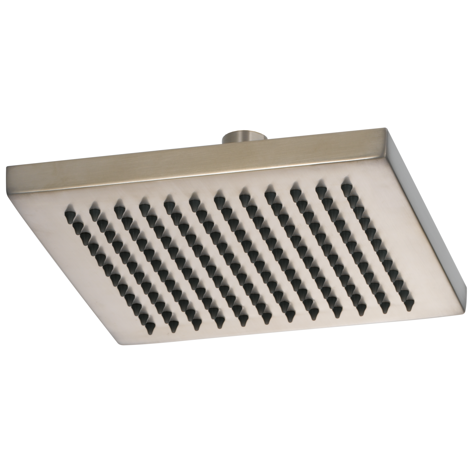 brushed nickel shower head