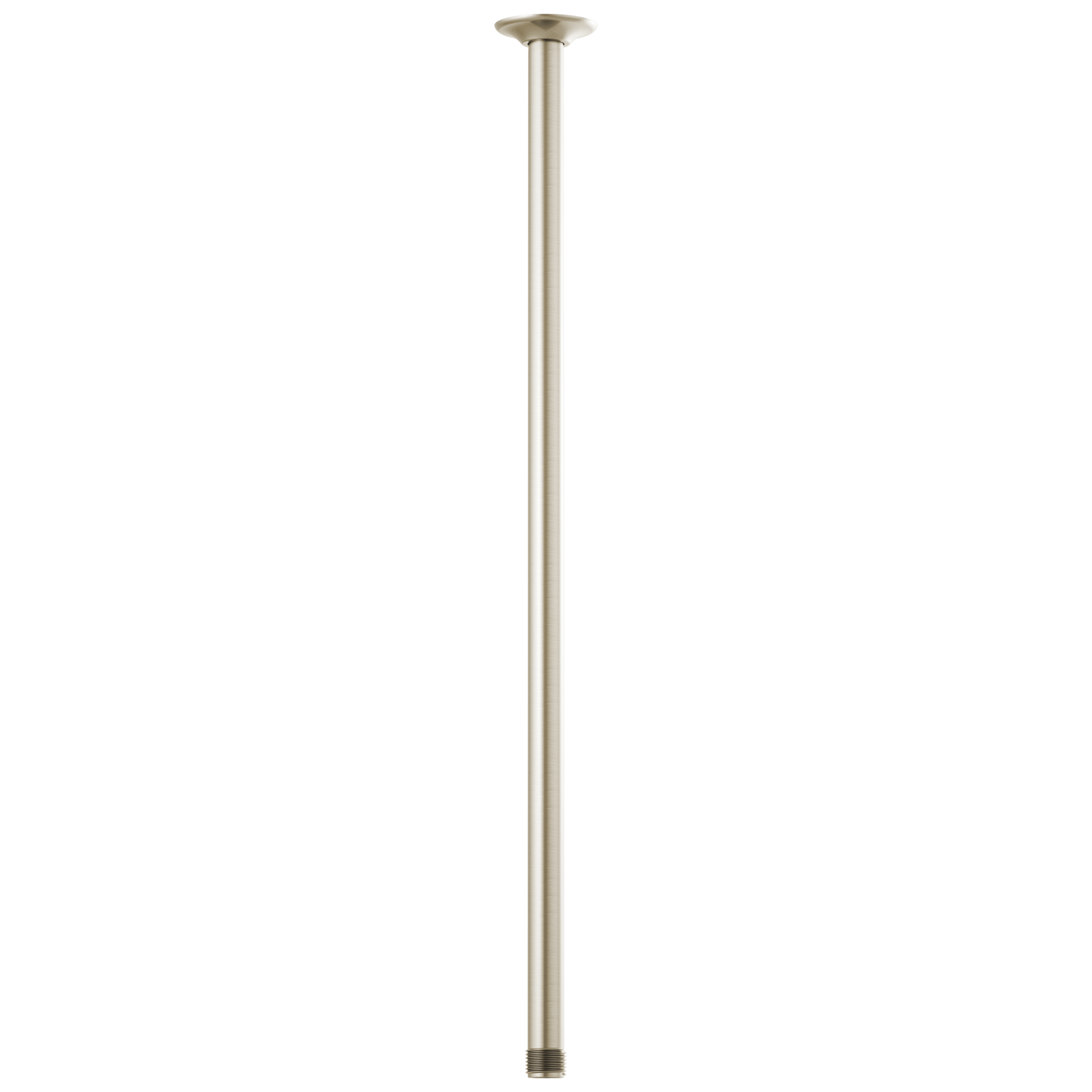 Brizo Universal Showering 24" Ceiling Mount Shower Arm And Round Flange by Brizo