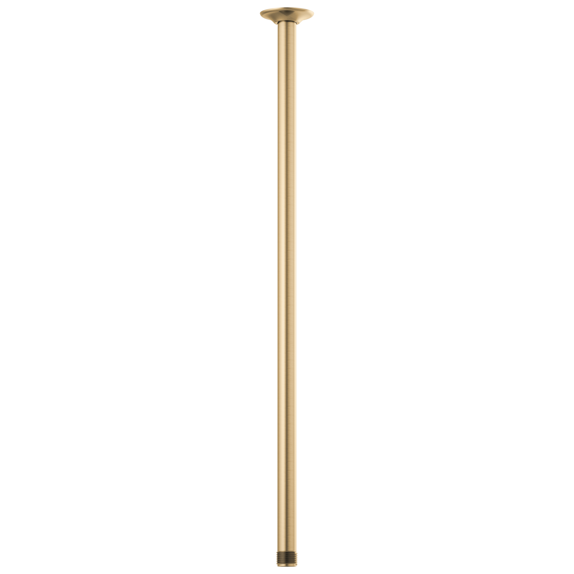 Brizo Universal Showering 24" Ceiling Mount Shower Arm And Round Flange by Brizo