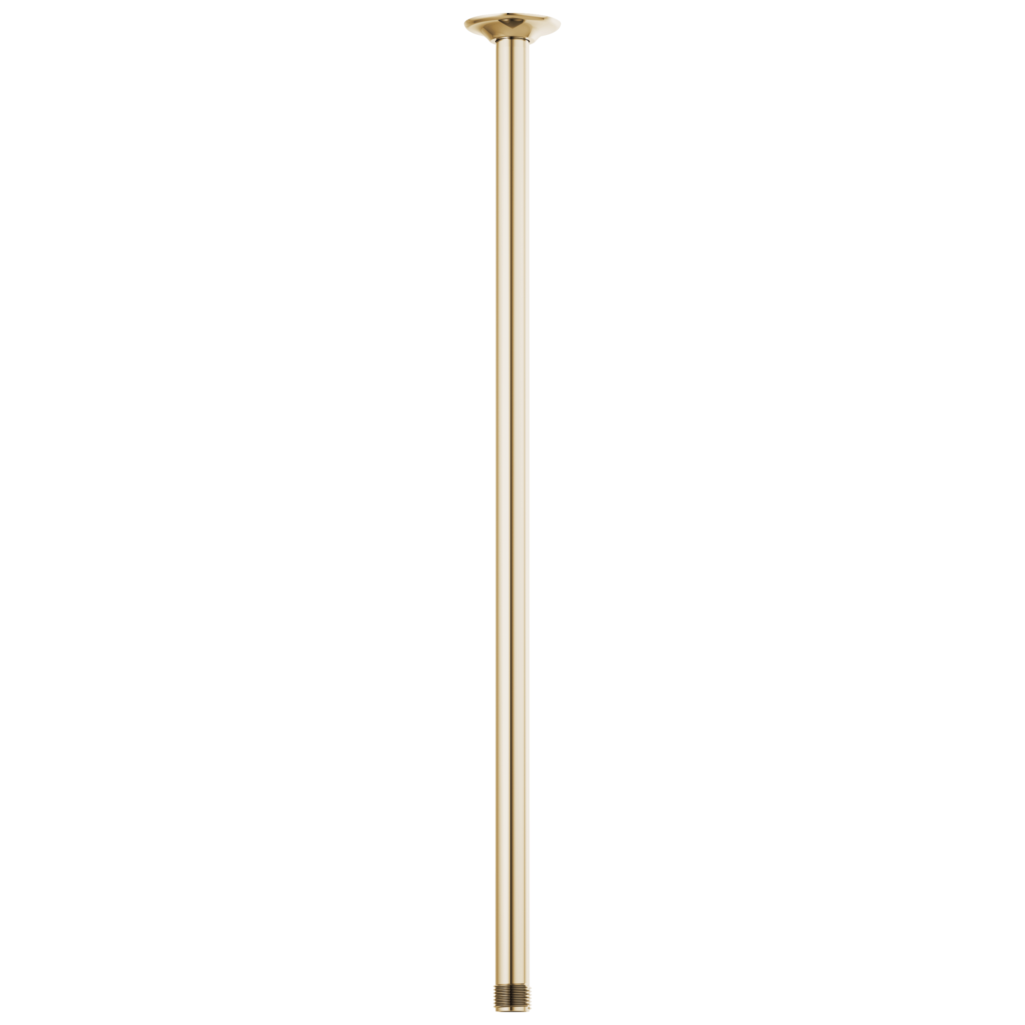Brizo Universal Showering 24" Ceiling Mount Shower Arm And Round Flange by Brizo