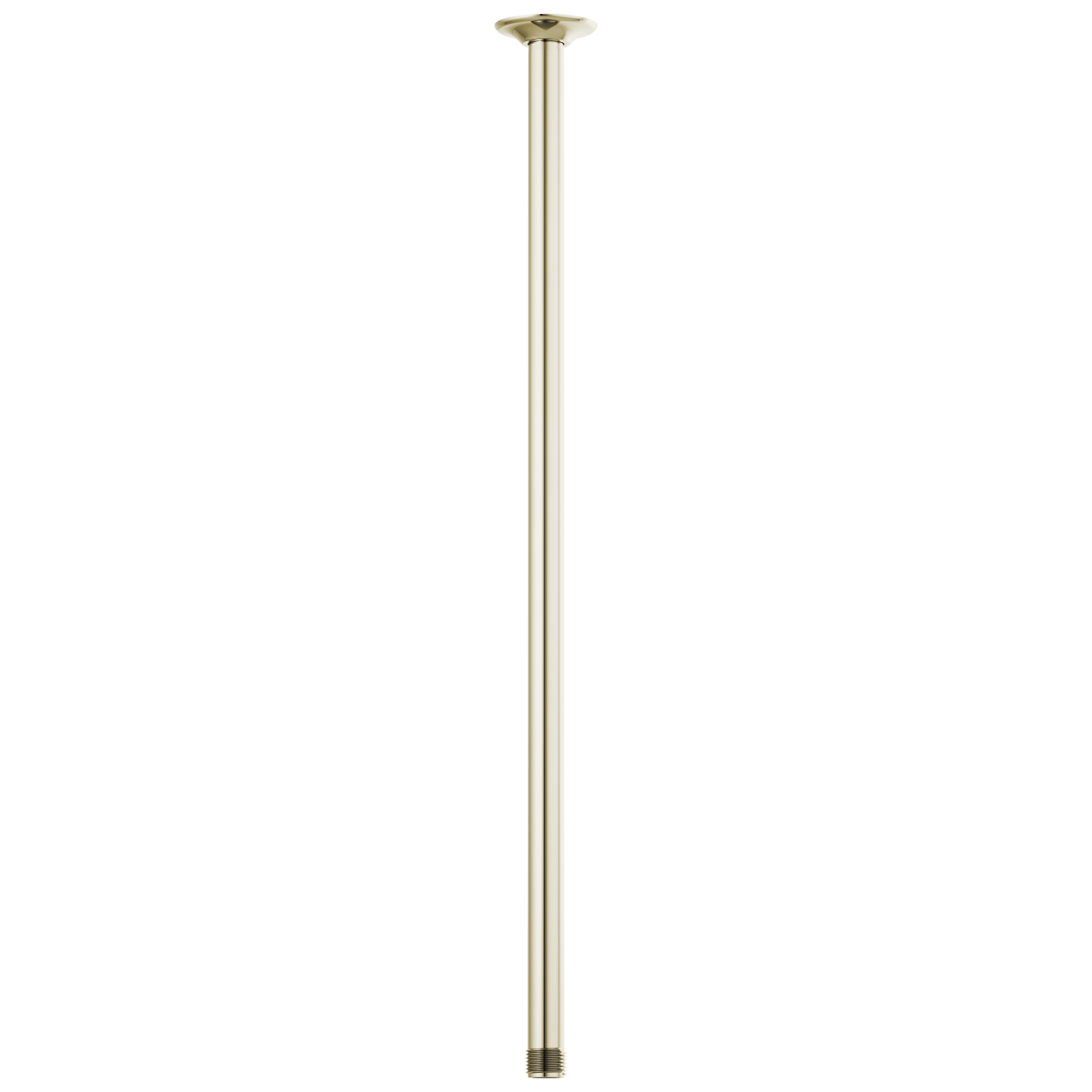 Brizo Universal Showering 24" Ceiling Mount Shower Arm And Round Flange by Brizo