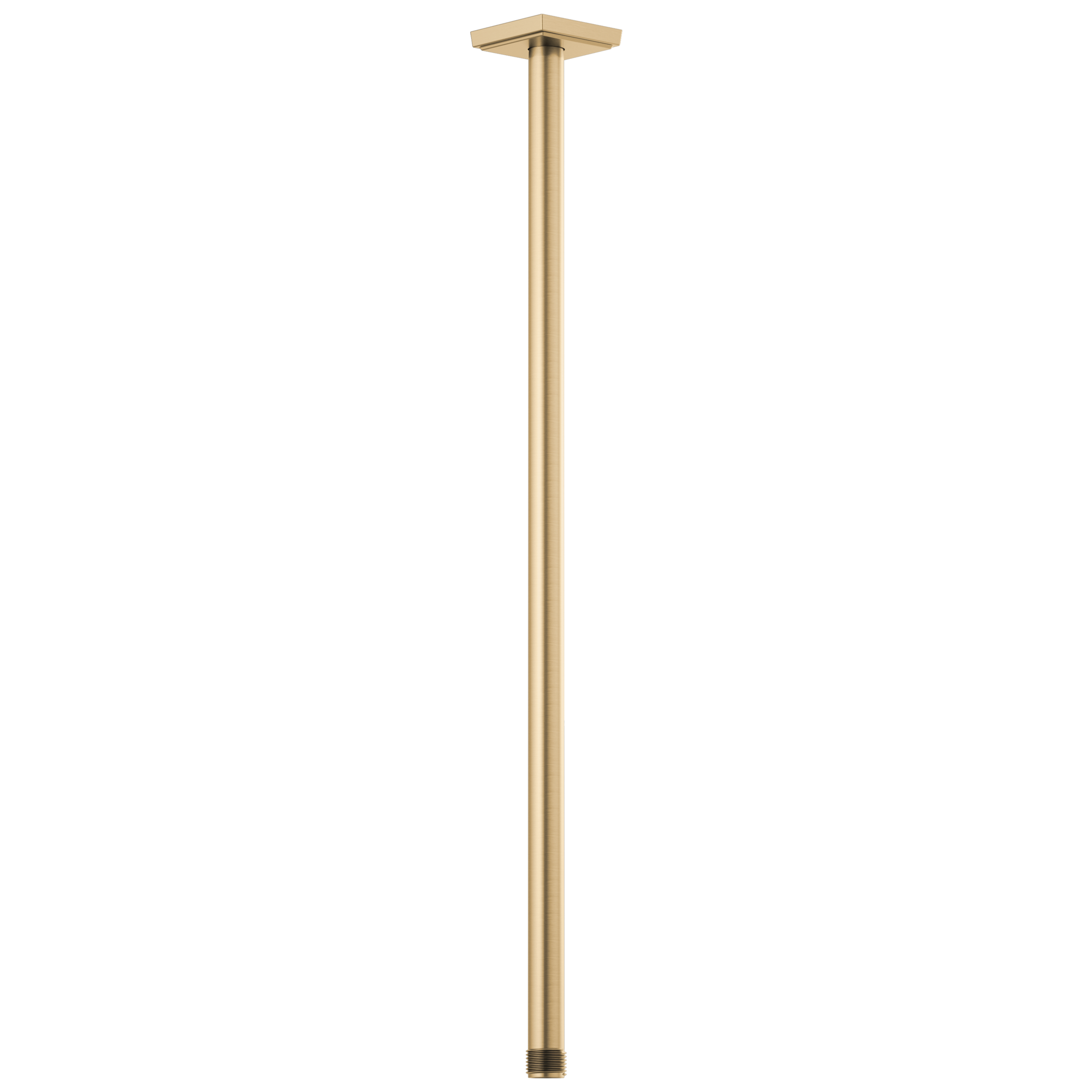 luxe gold shower arm and flange