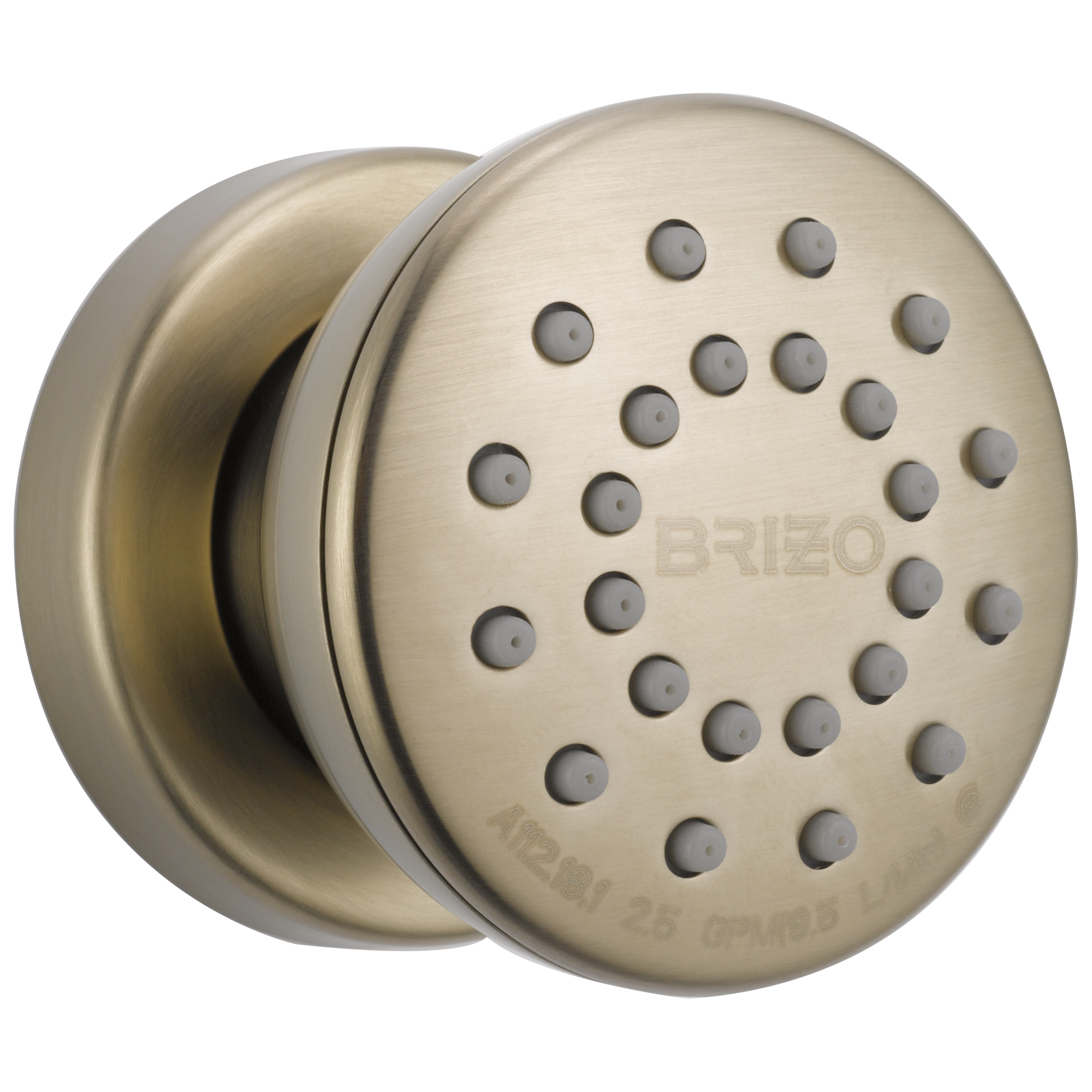 Brizo Universal Showering Touch-Clean Round Body Spray by Brizo