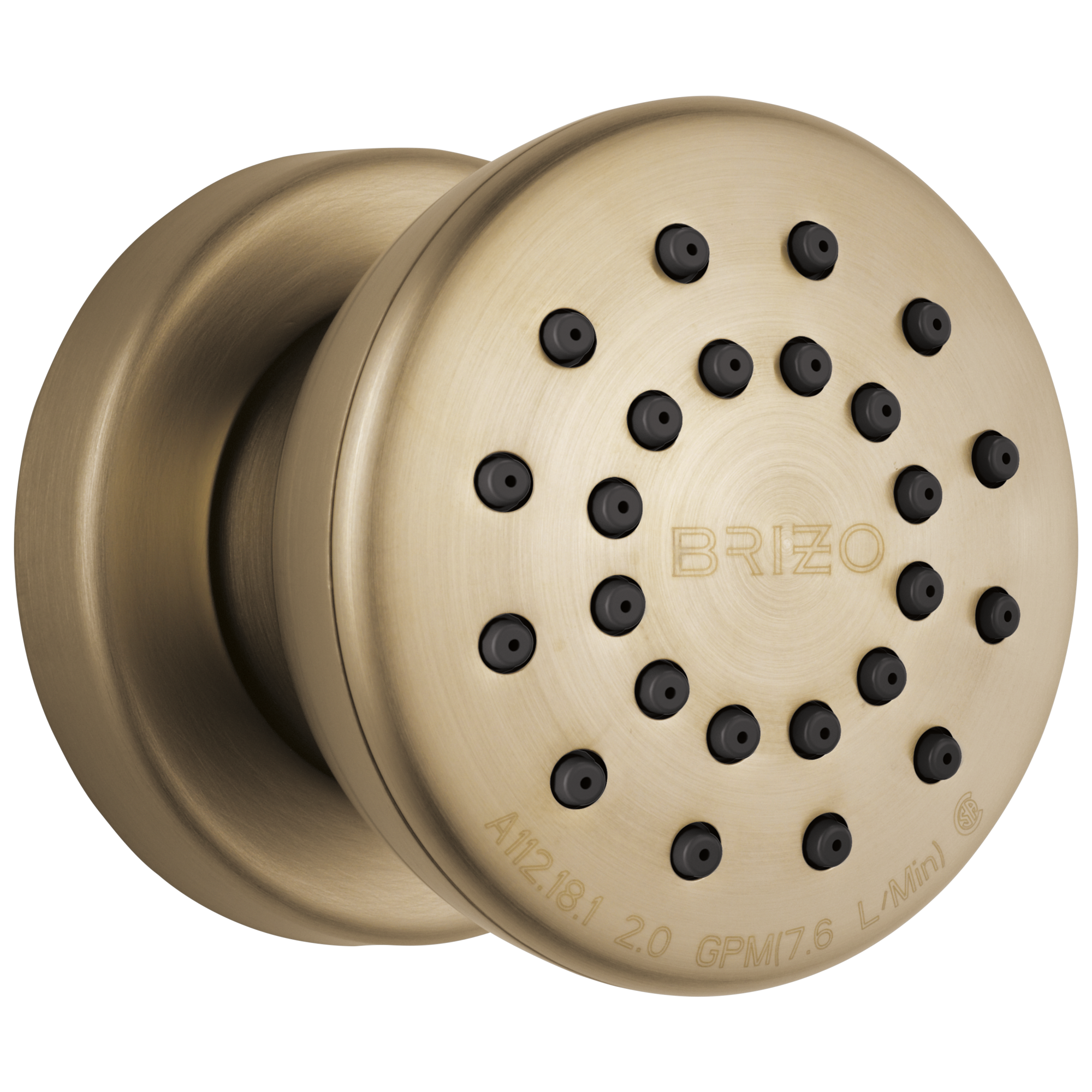 Brizo Universal Showering Touch-Clean Round Body Spray by Brizo